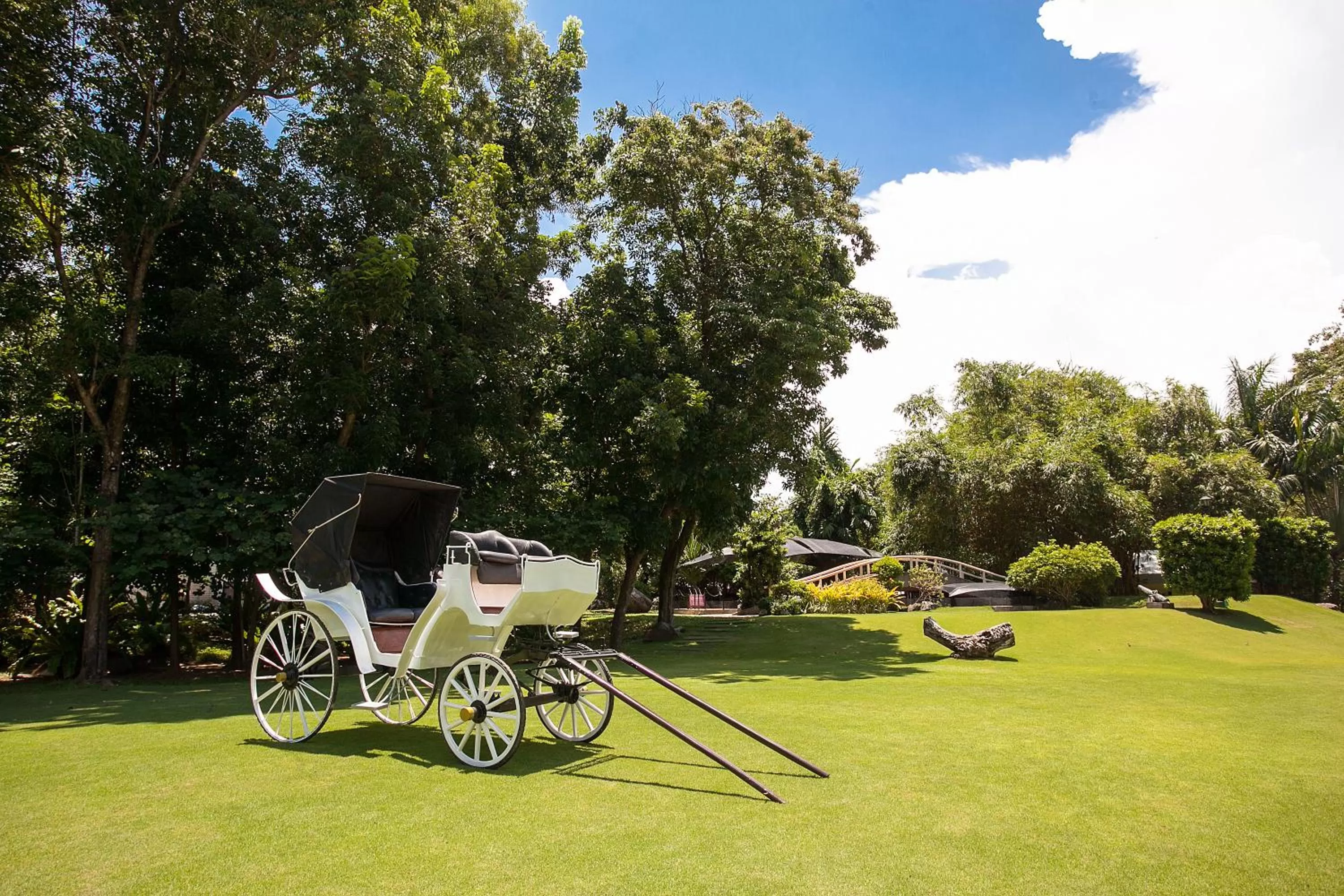 Day in Cebu White Sands Resort and Spa