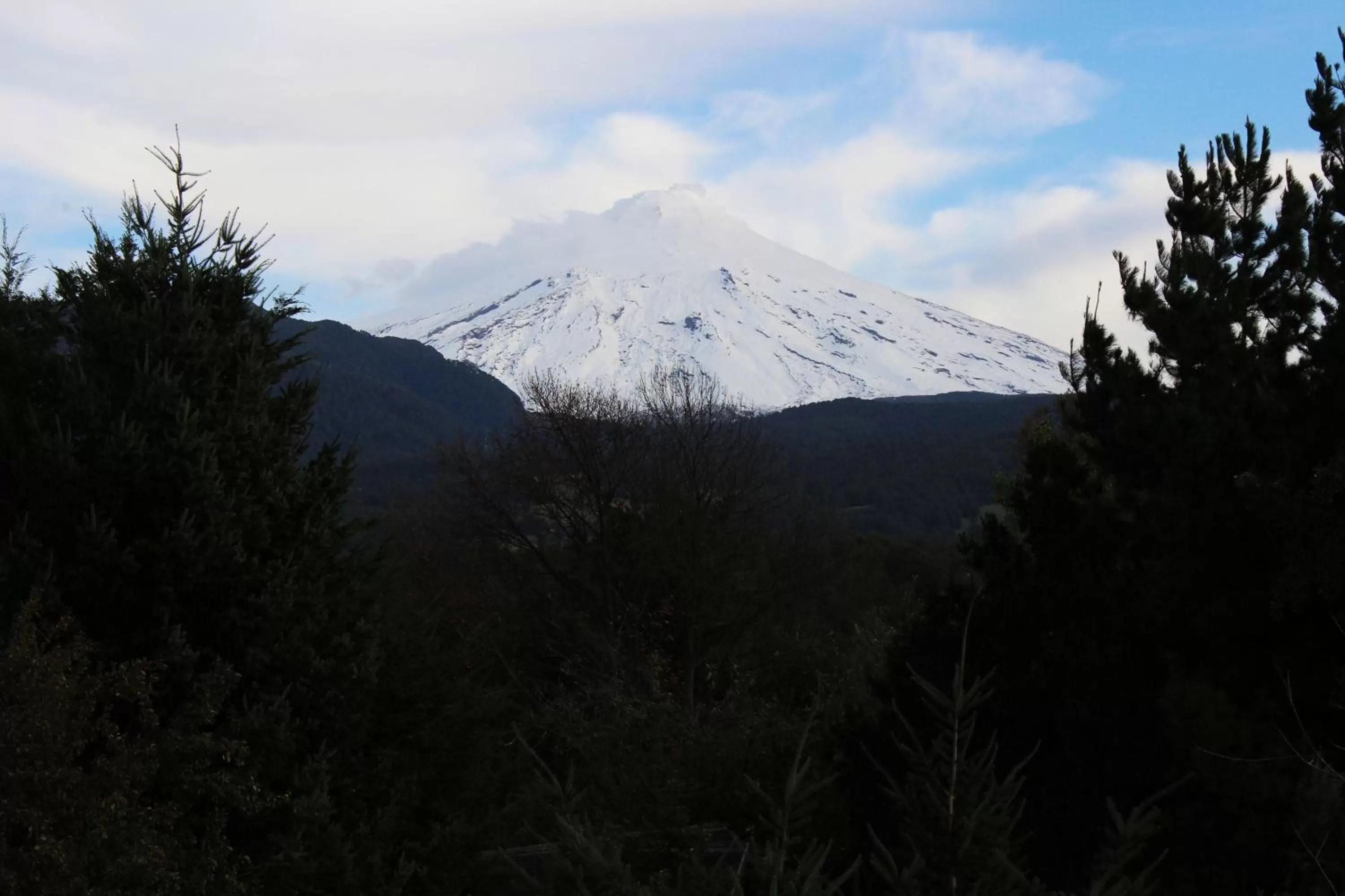 View (from property/room) in Hotel Malalhue