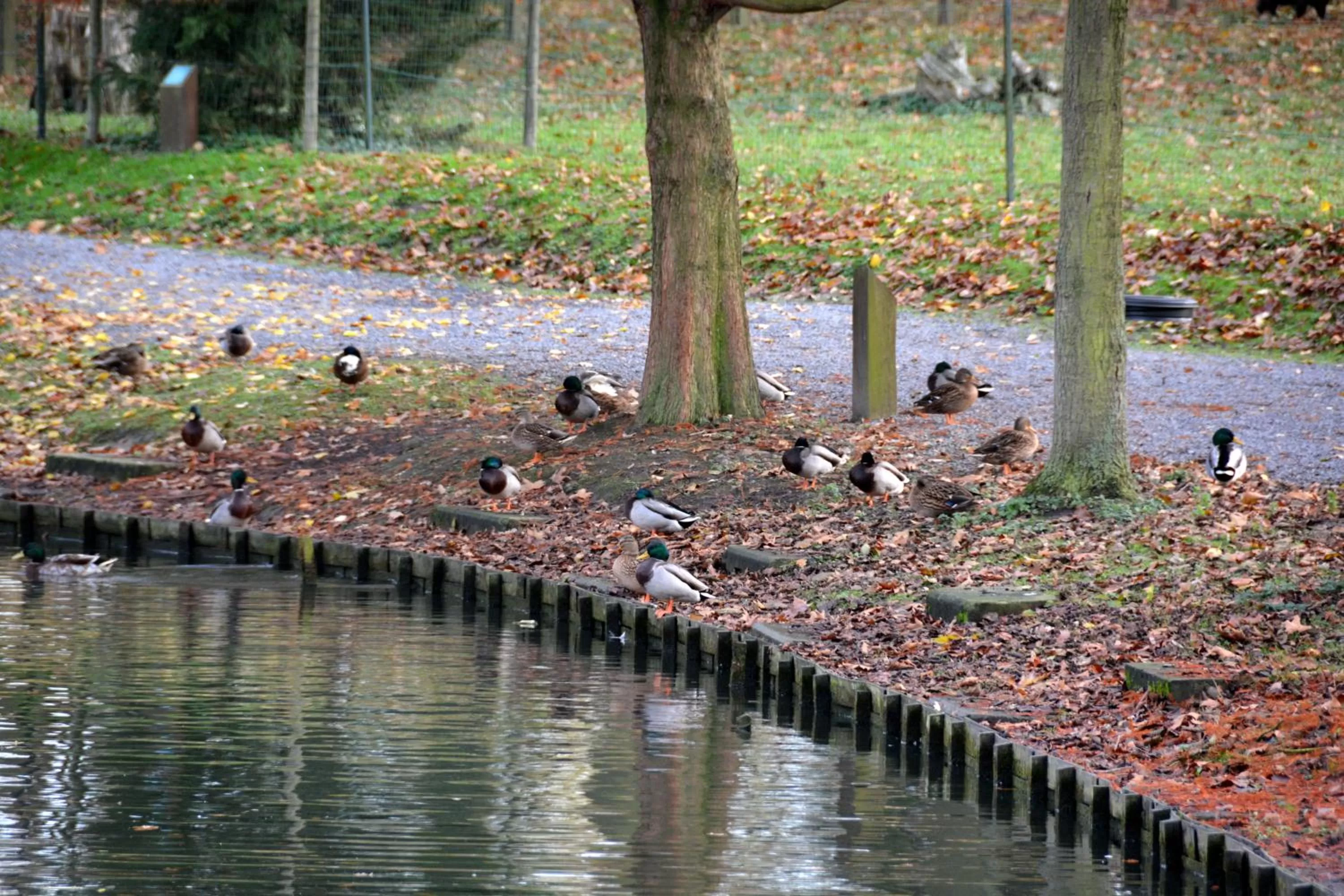 Garden view in Haras des Chartreux