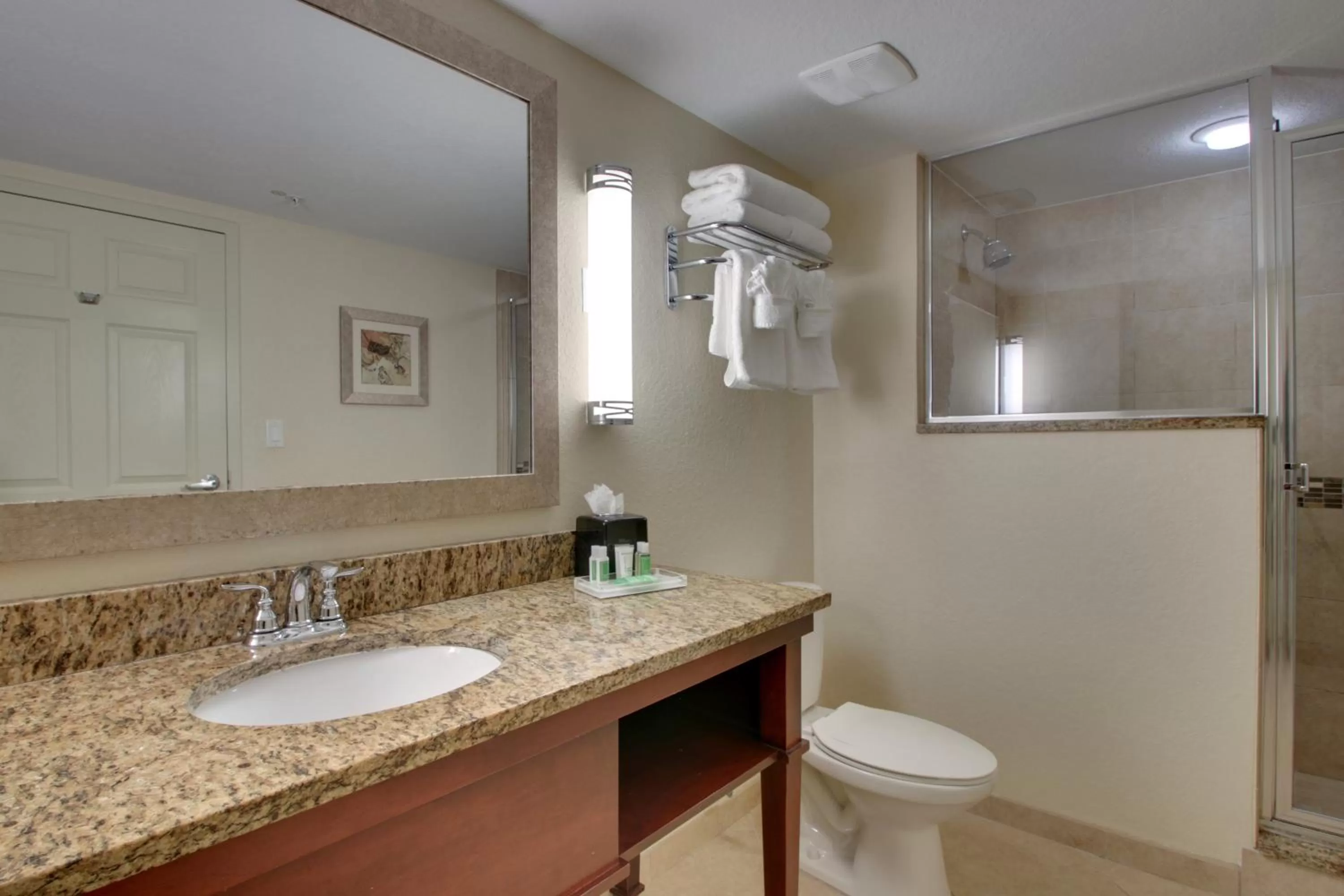 Bathroom in Holiday Inn Resort Orlando - Lake Buena Vista by IHG