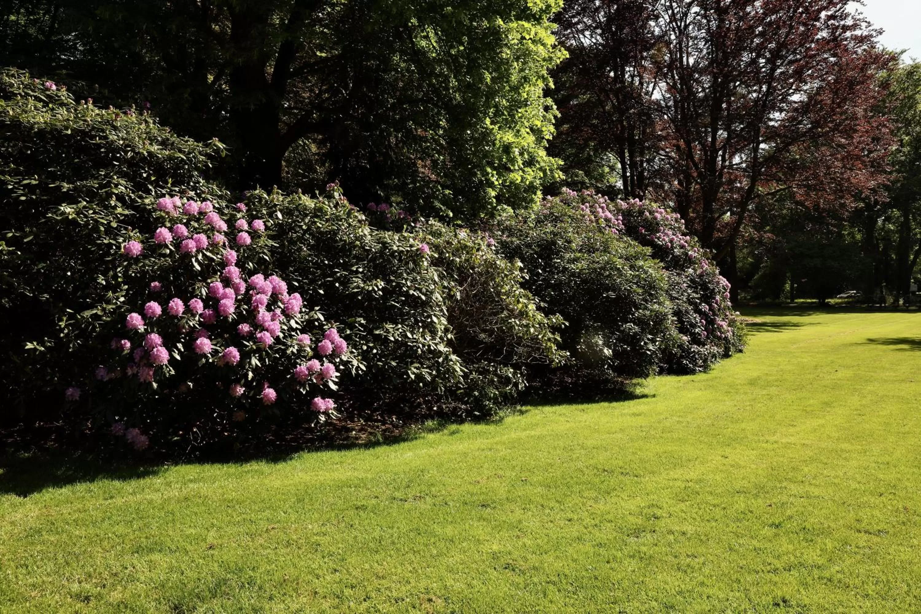 Garden in de Lochemse Berg