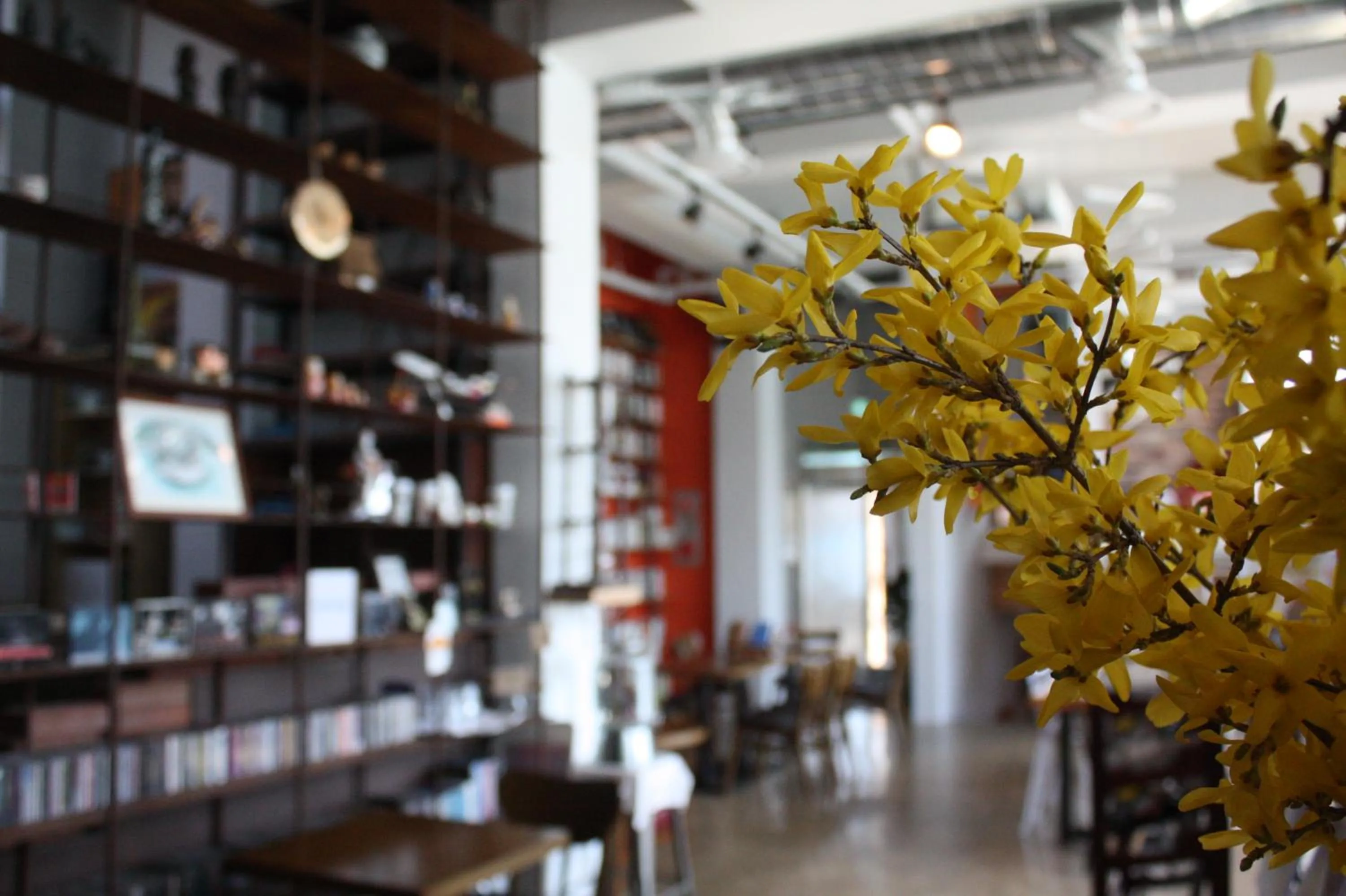 Property building in Andong Poong-gyung HOSTEL n LIBRARY