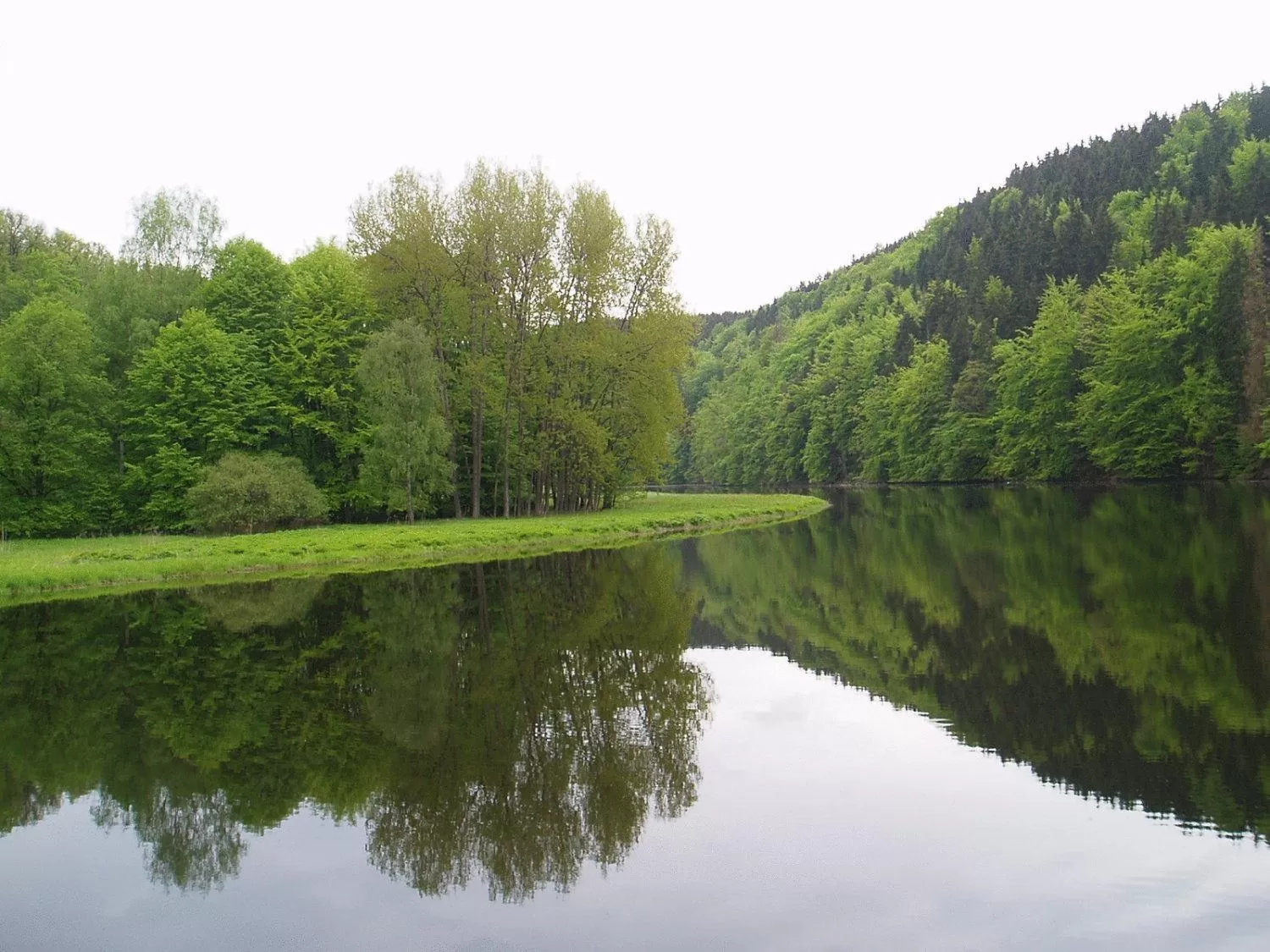 Natural Landscape in Hotel Luginsland