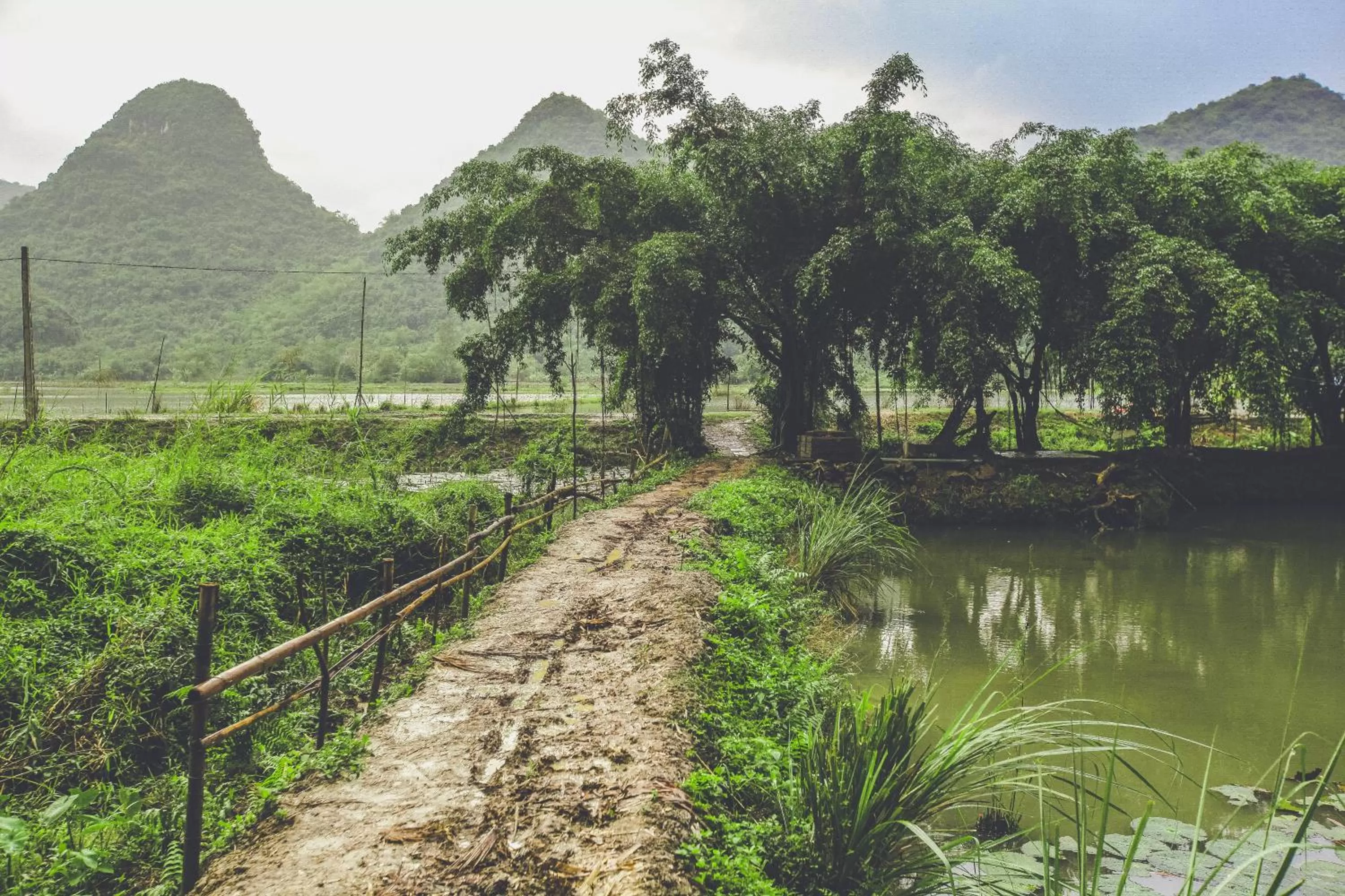 Day in Tam Coc Rice Fields Resort