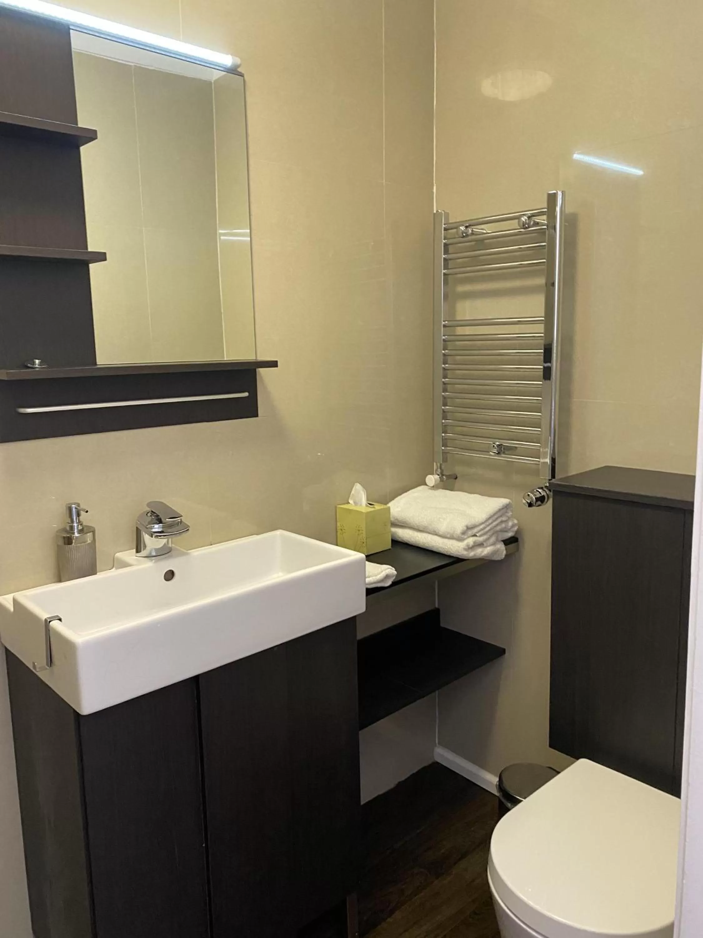 Bathroom in Astral Lodge