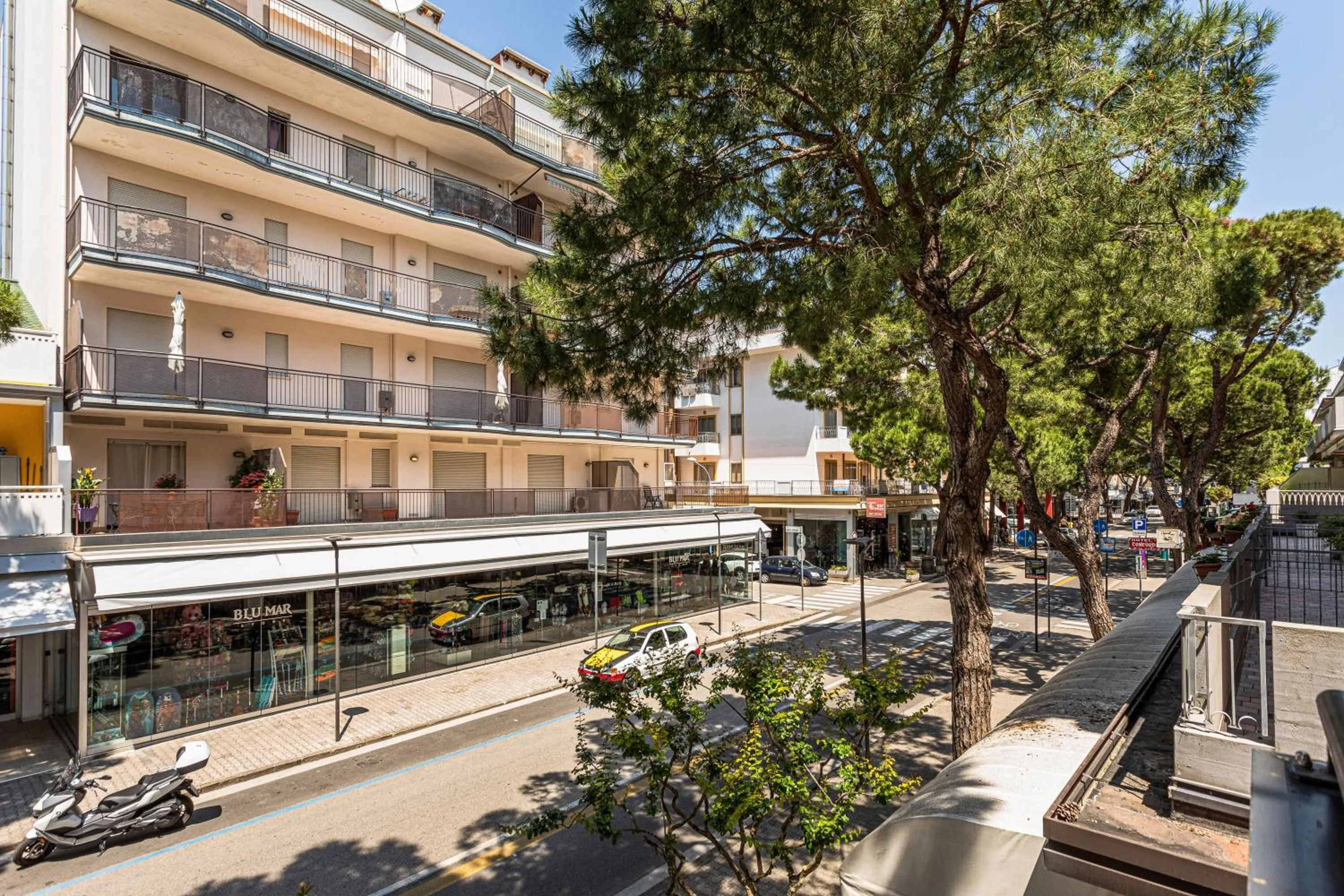 View (from property/room) in Hotel Diana