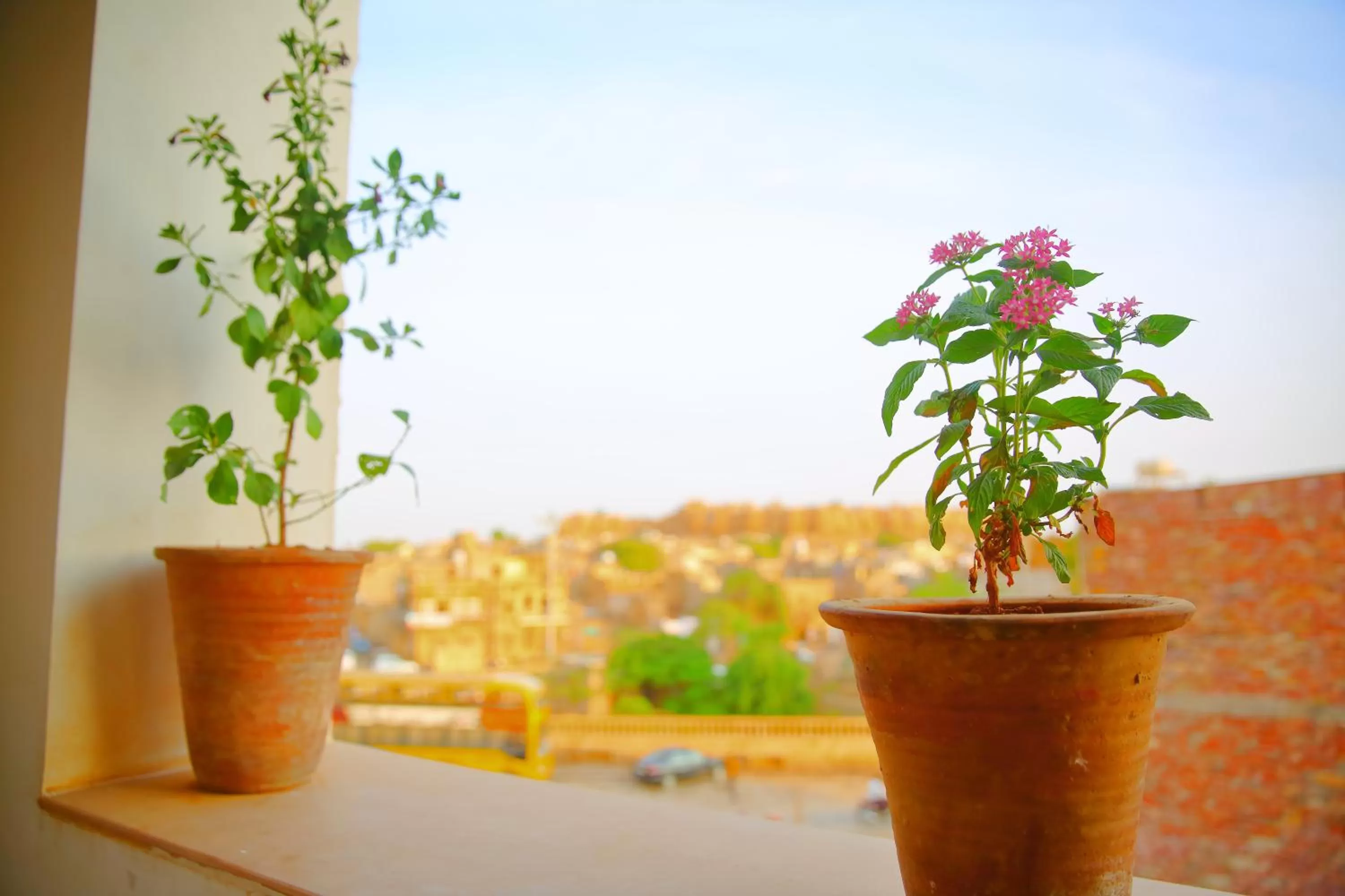 Day in The Wanderlust Guest House & Safari