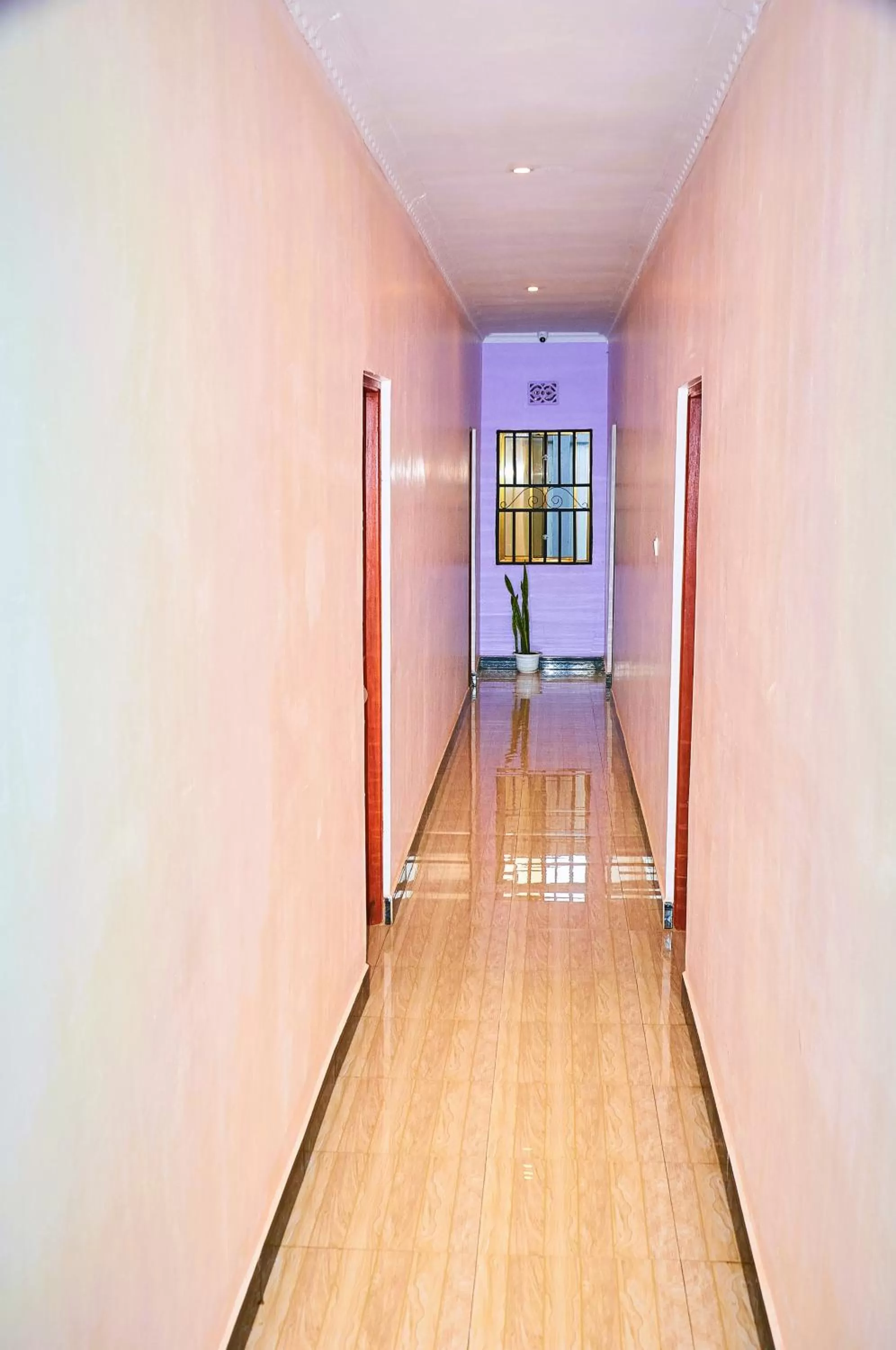 Restaurant/places to eat in Safari Park House