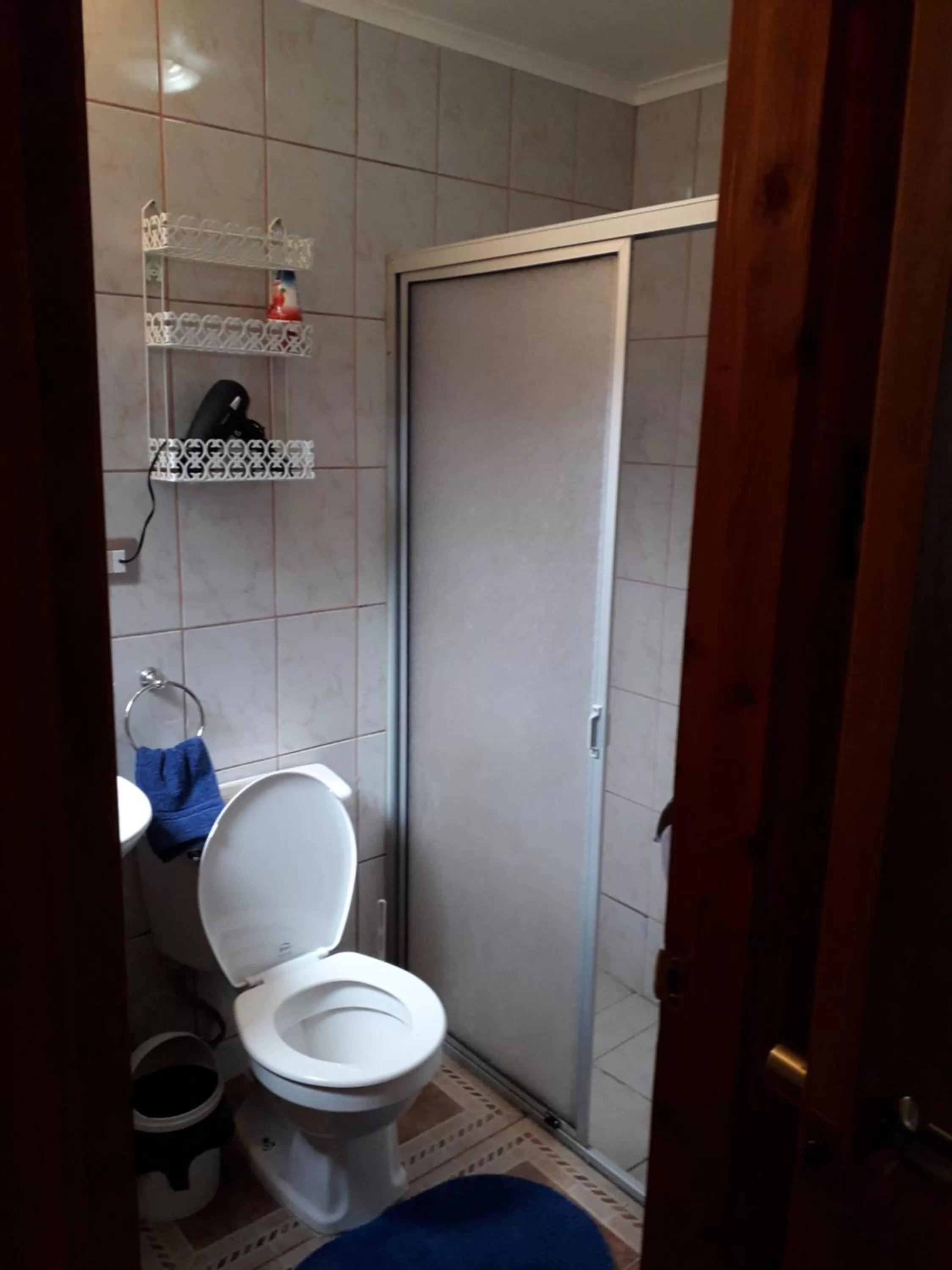 Bathroom in Apart-Hotel Colonia-Königsberg ESTACIONAMIENTO Deptos Completos Ubicado En El Centro De Valdivia AIRE ACONDICIONADO