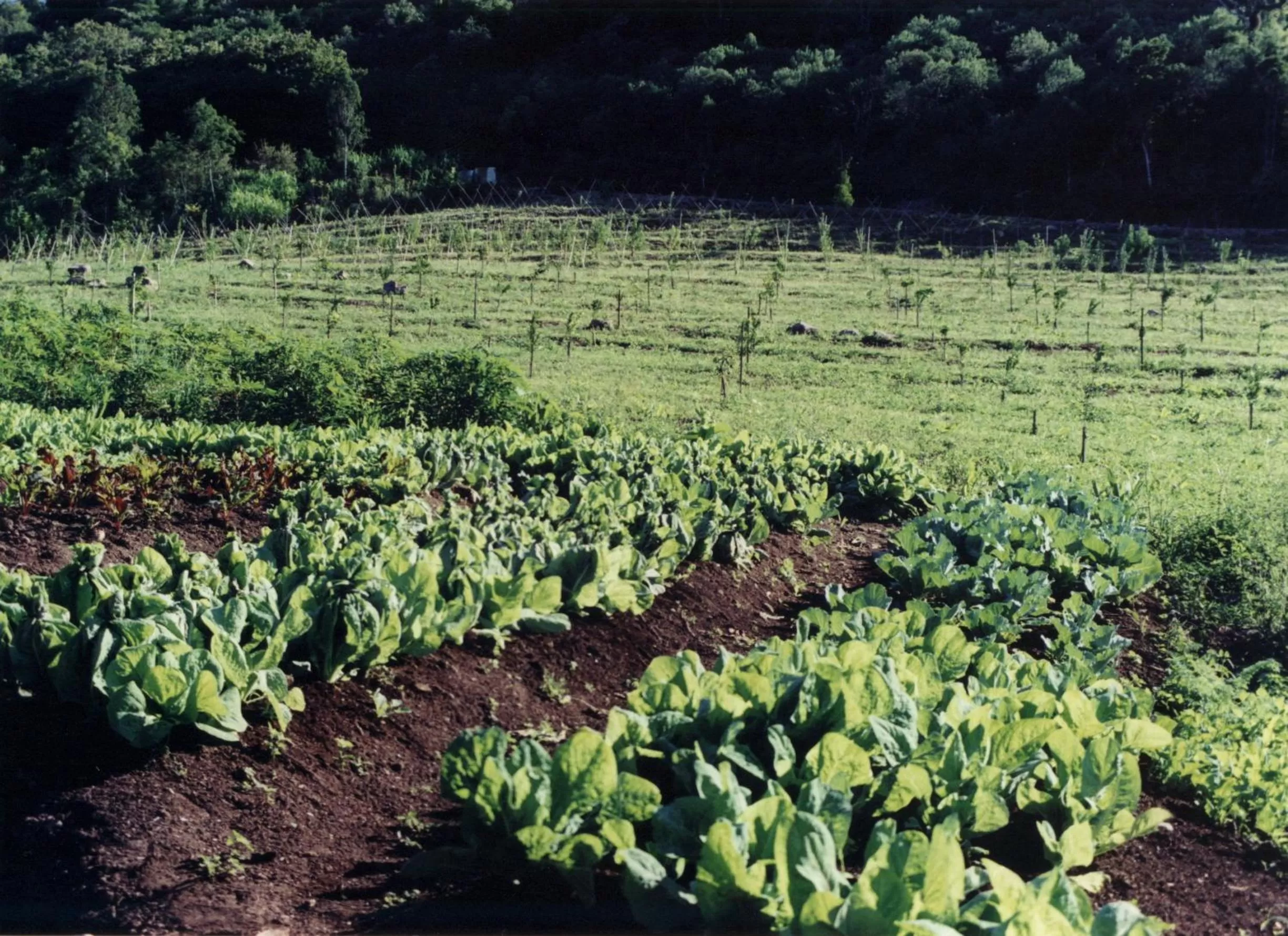 Facade/entrance in Hotel Villa Michelon