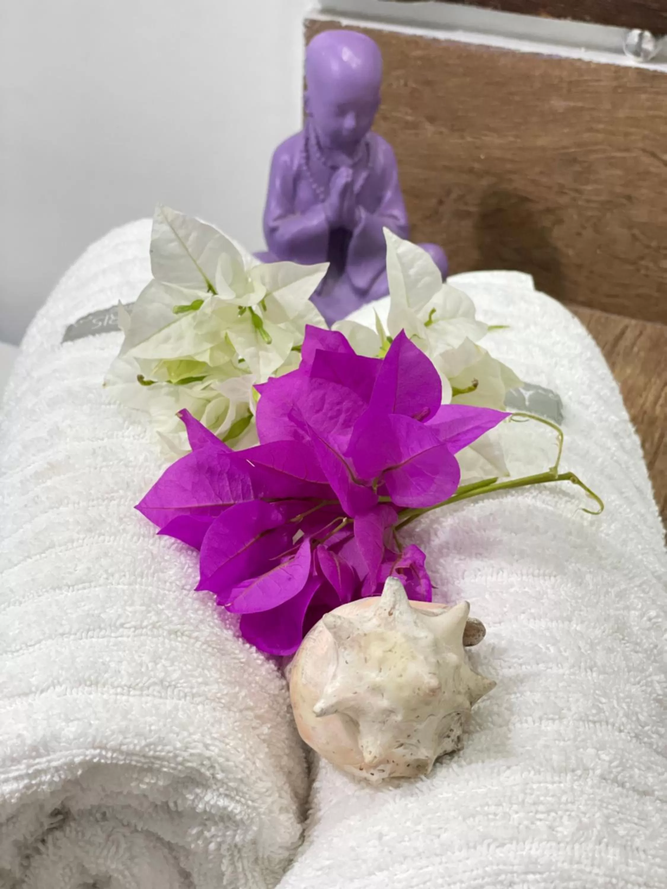 Bathroom in Pousada Santarina