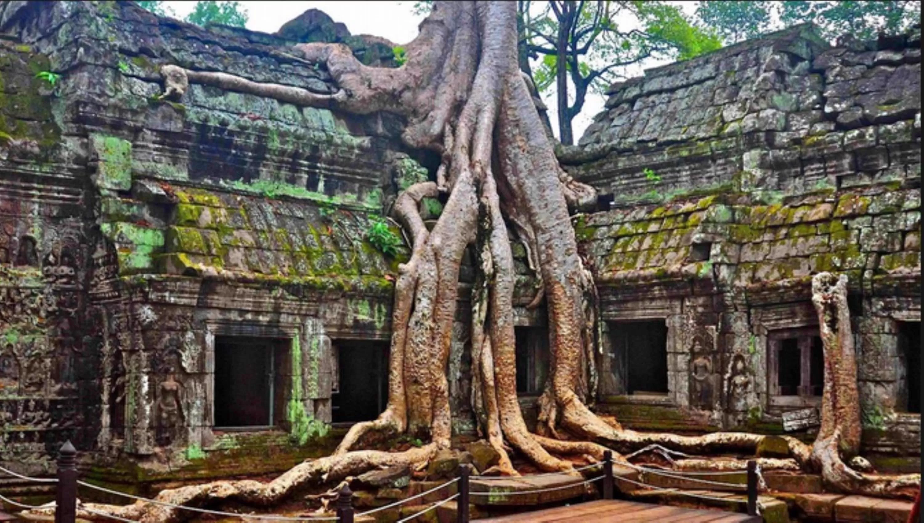 Activities, Property Building in The Cyclo d'Angkor Boutique Hotel