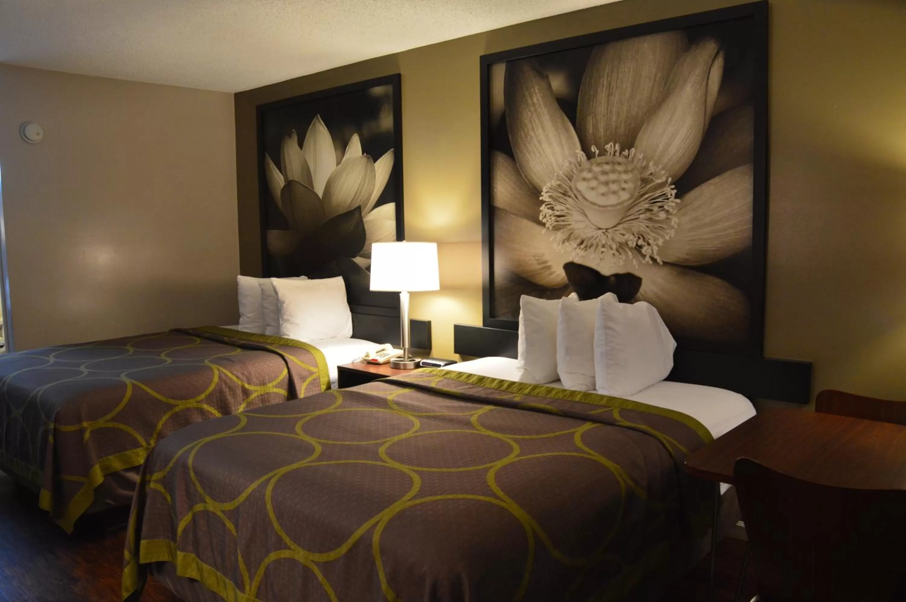 Bed in Super 8 by Wyndham Madison