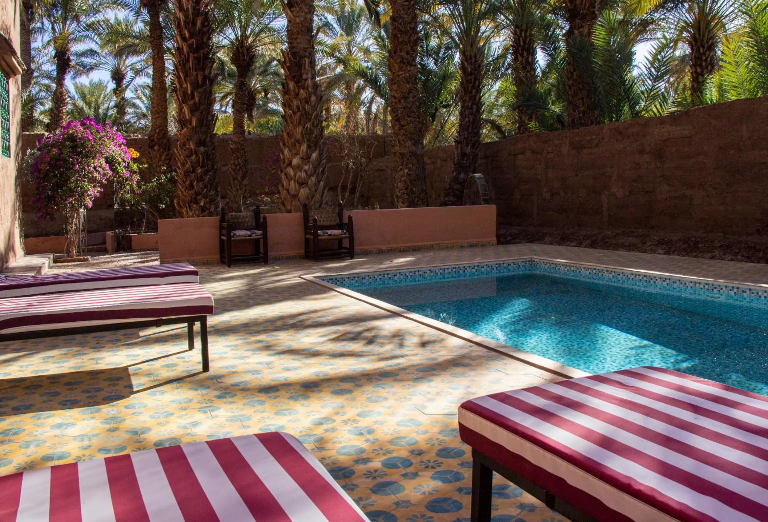 Swimming pool in Dar Nakhla - Zagora guest house