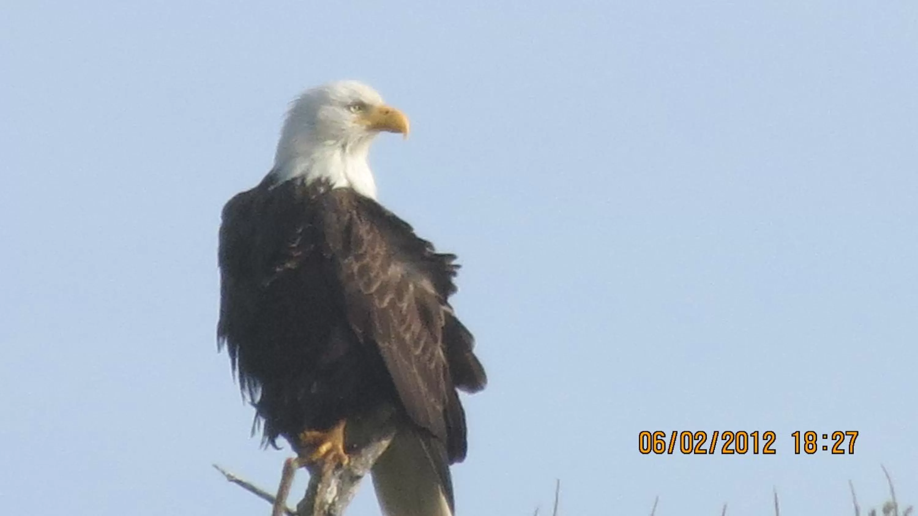 Area and facilities in Seven Seas Inn & Suites