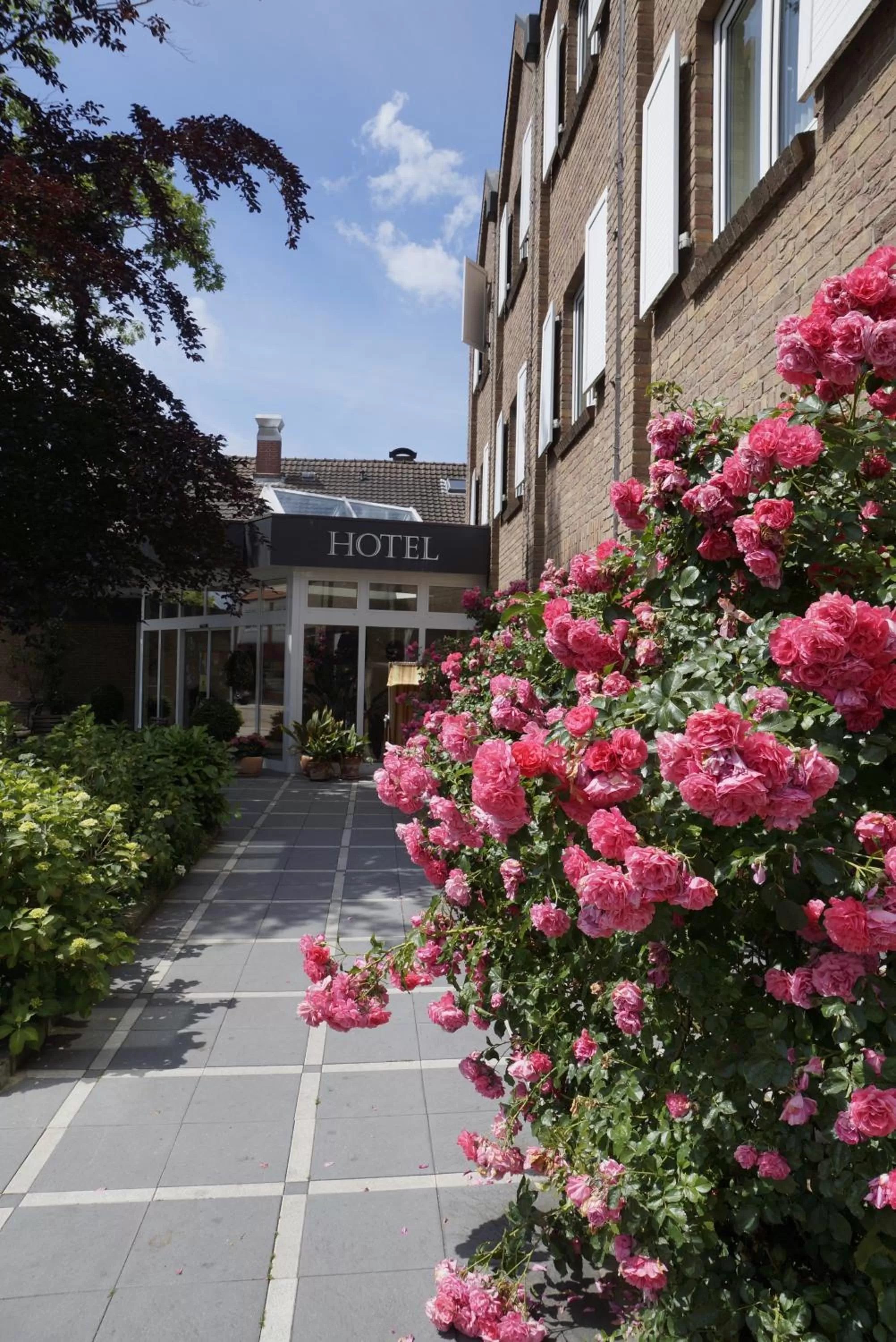 Property building in Hotel Paulsen