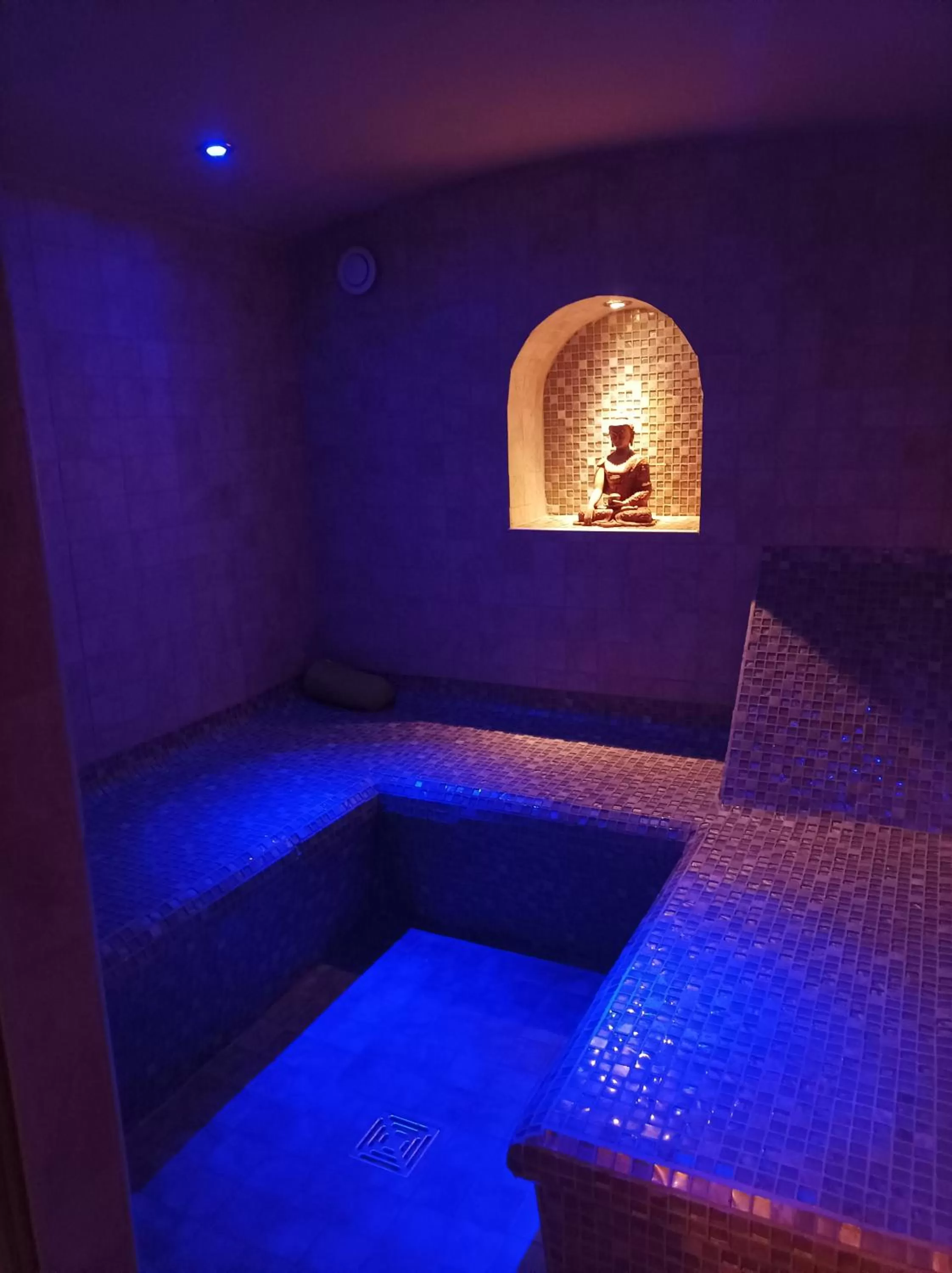 Spa/Wellness in Chambre d'hôte avec Hammam et salle de jeux