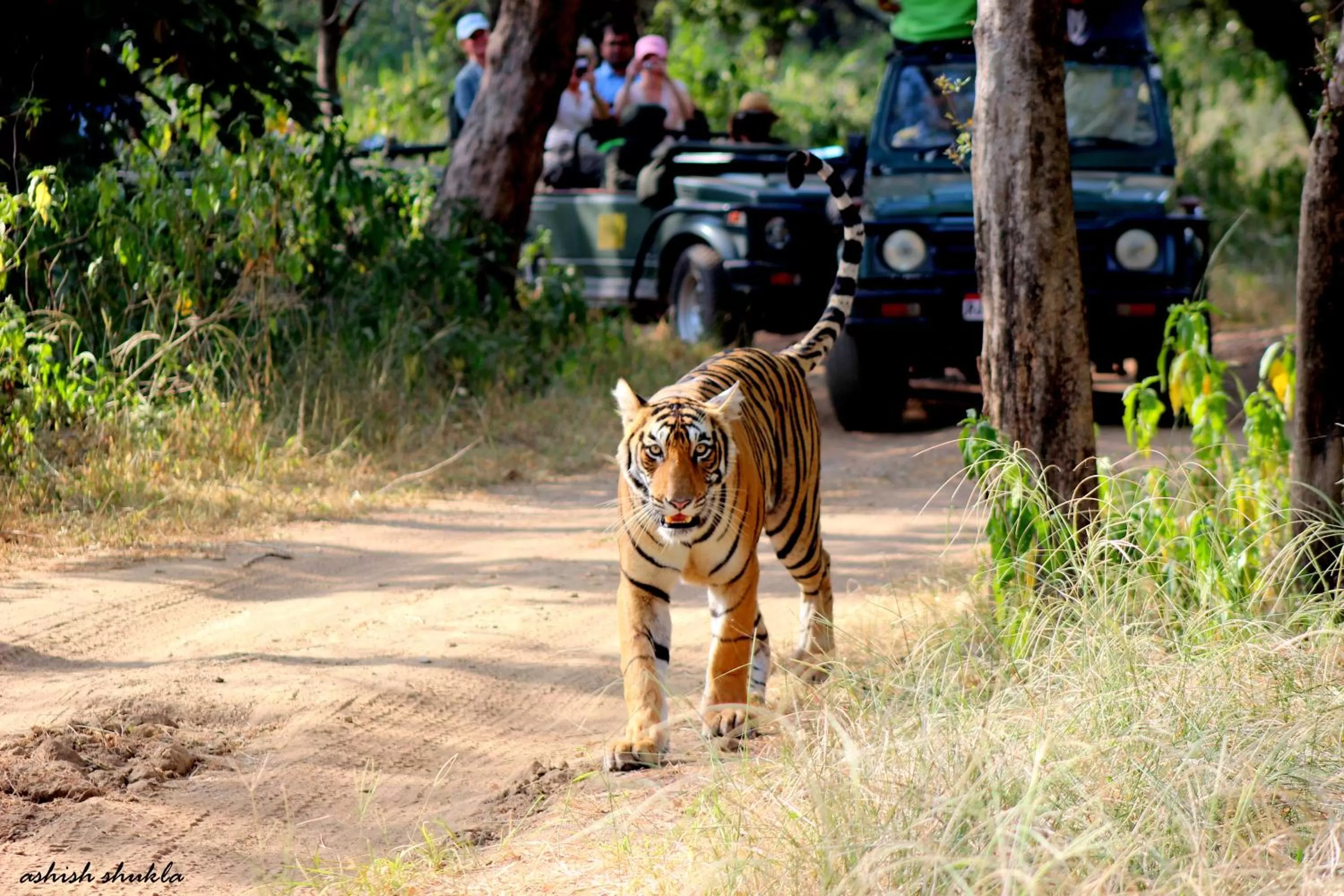 Off site in The Fern Ranthambore Forest Resort Rajasthan
