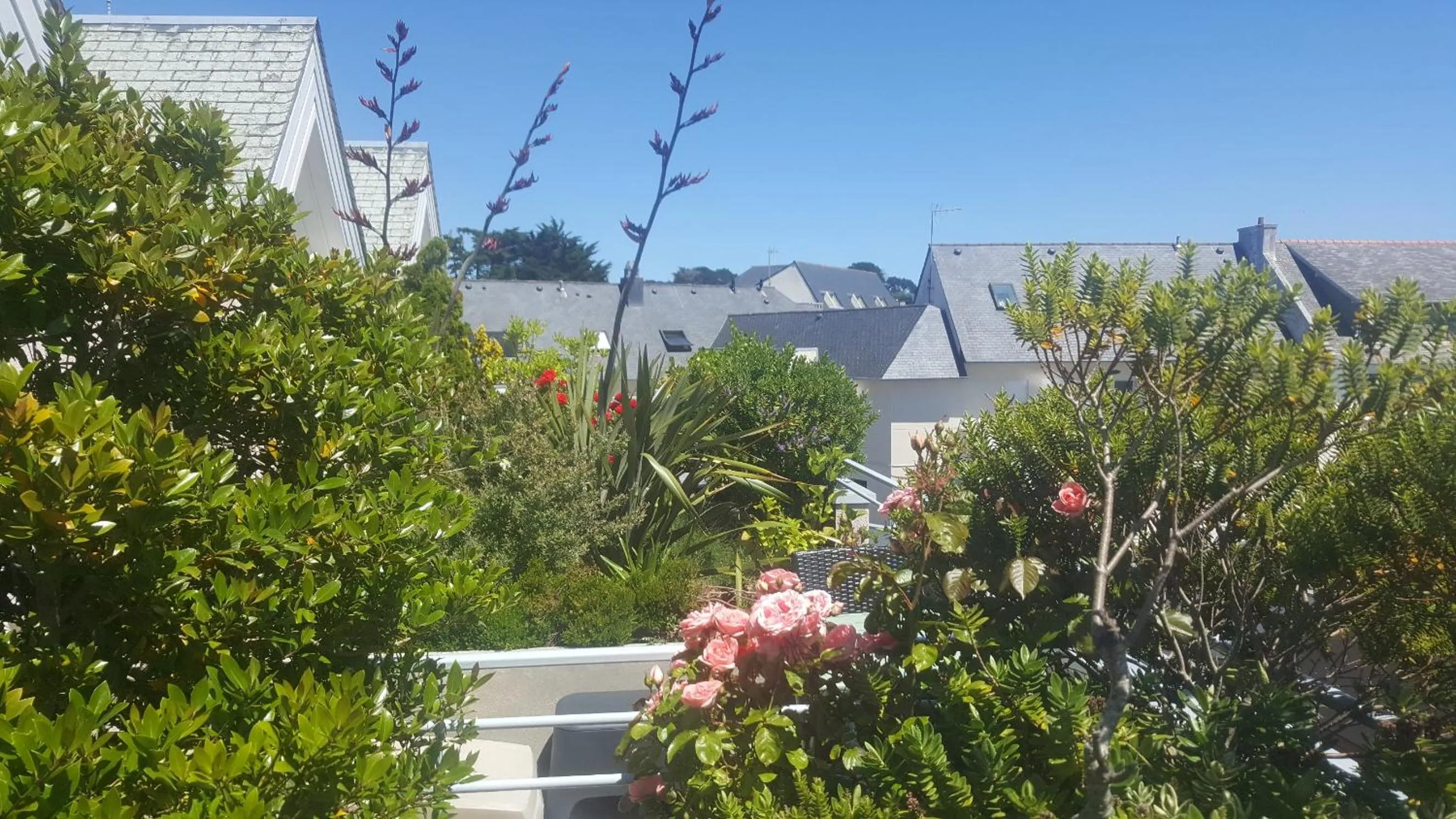 Patio in Hotel De L'Europe