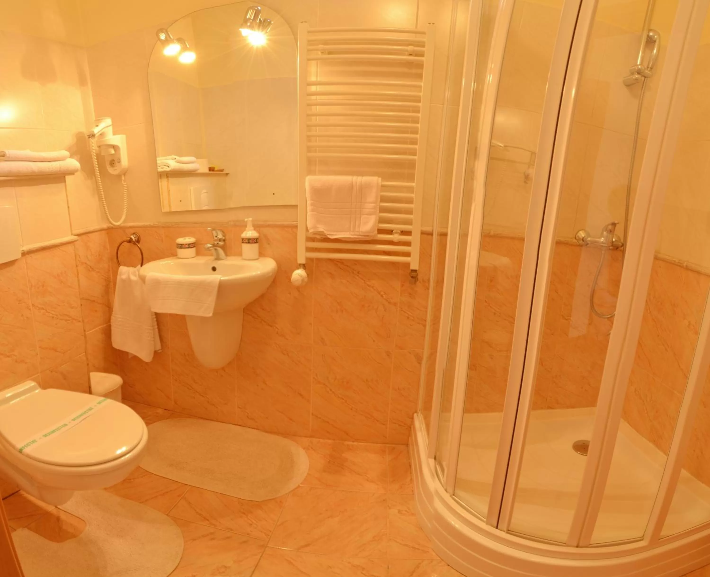 Bathroom in Hotel Bielmann