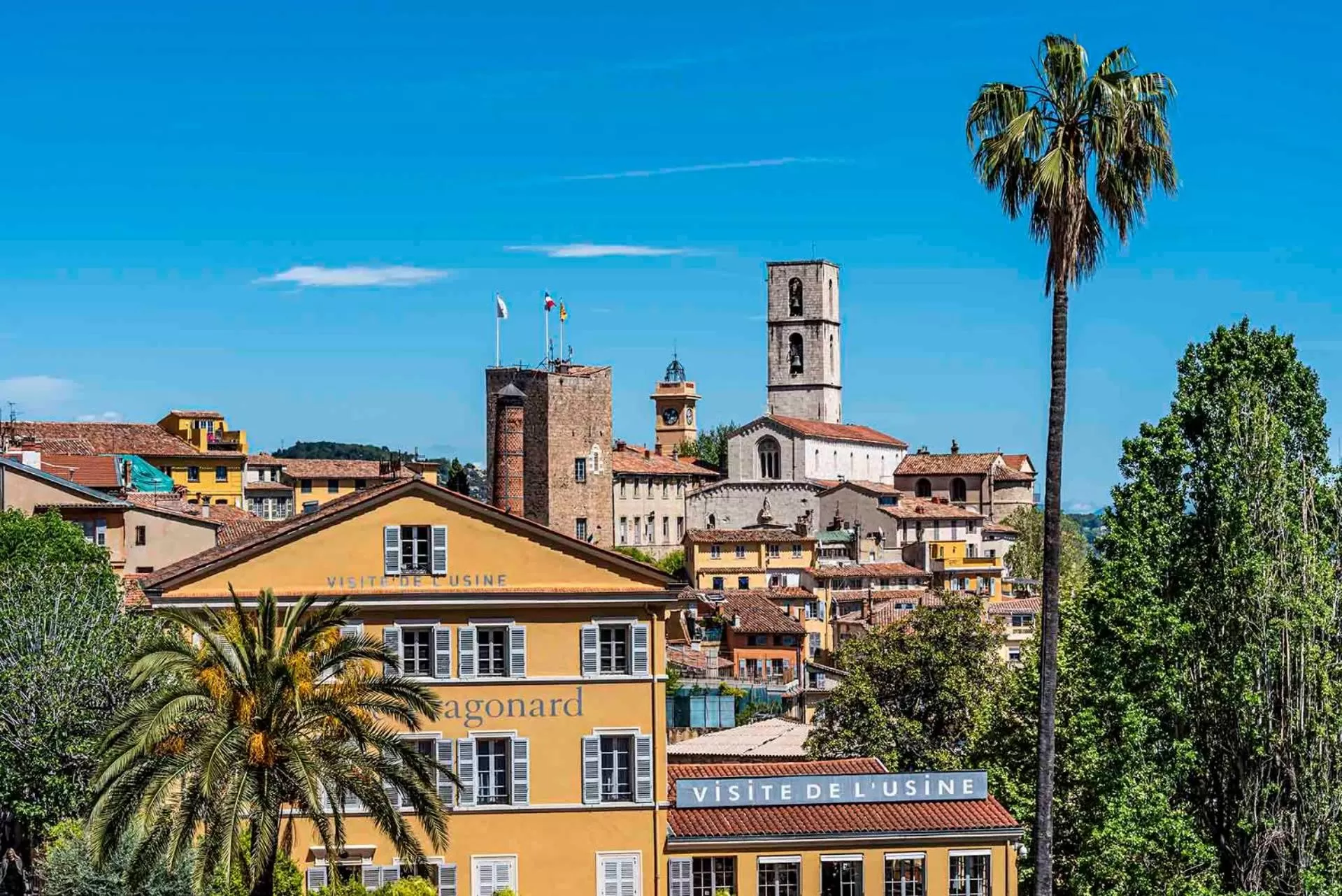 Natural landscape in Domaine de La Tour Carrée