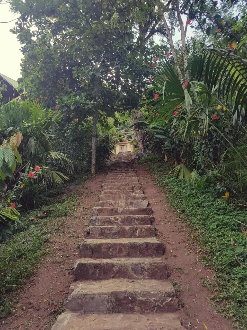 Area and facilities in Utopia Eco Hotel