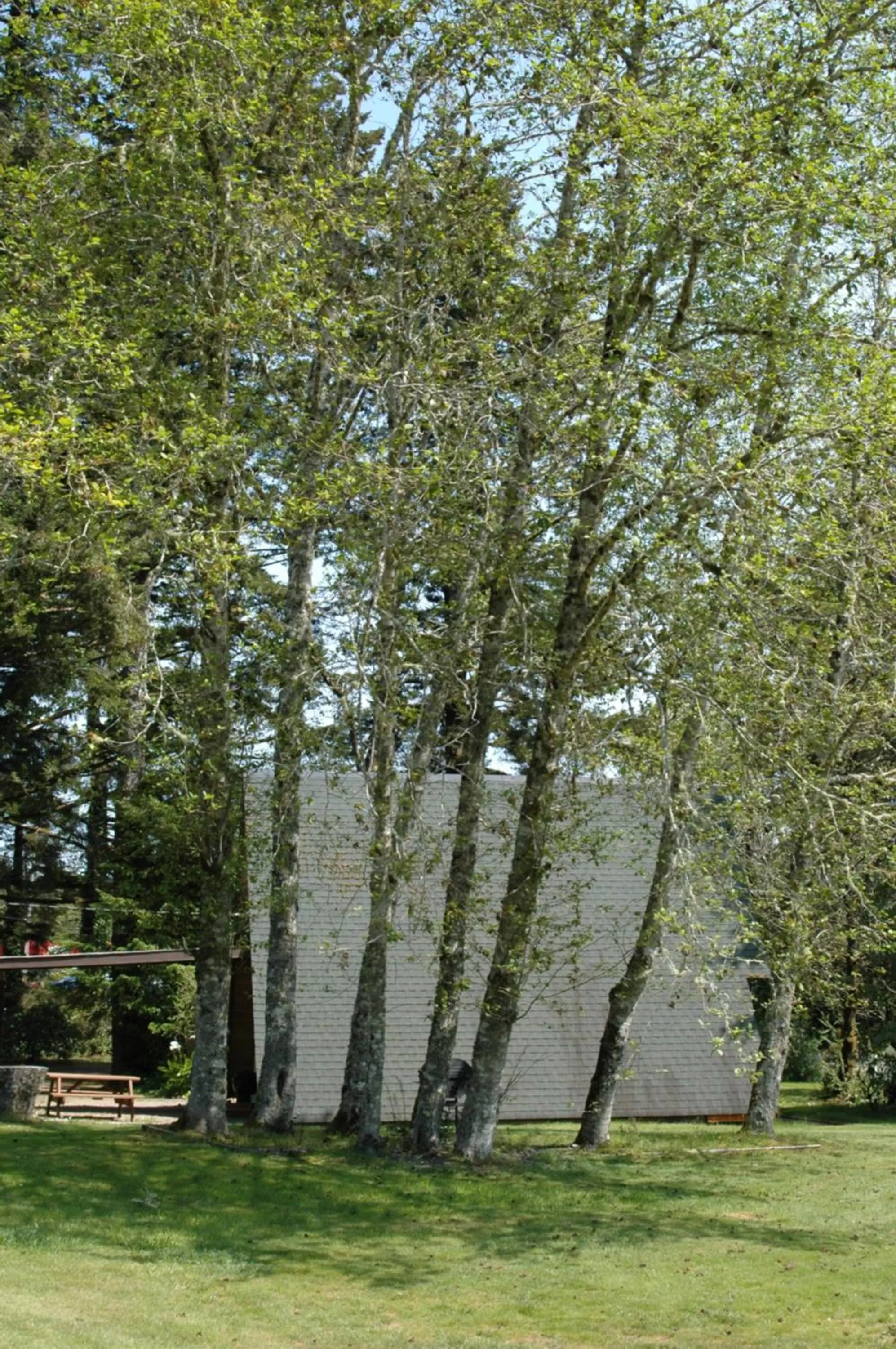 Park Motel and Cabins