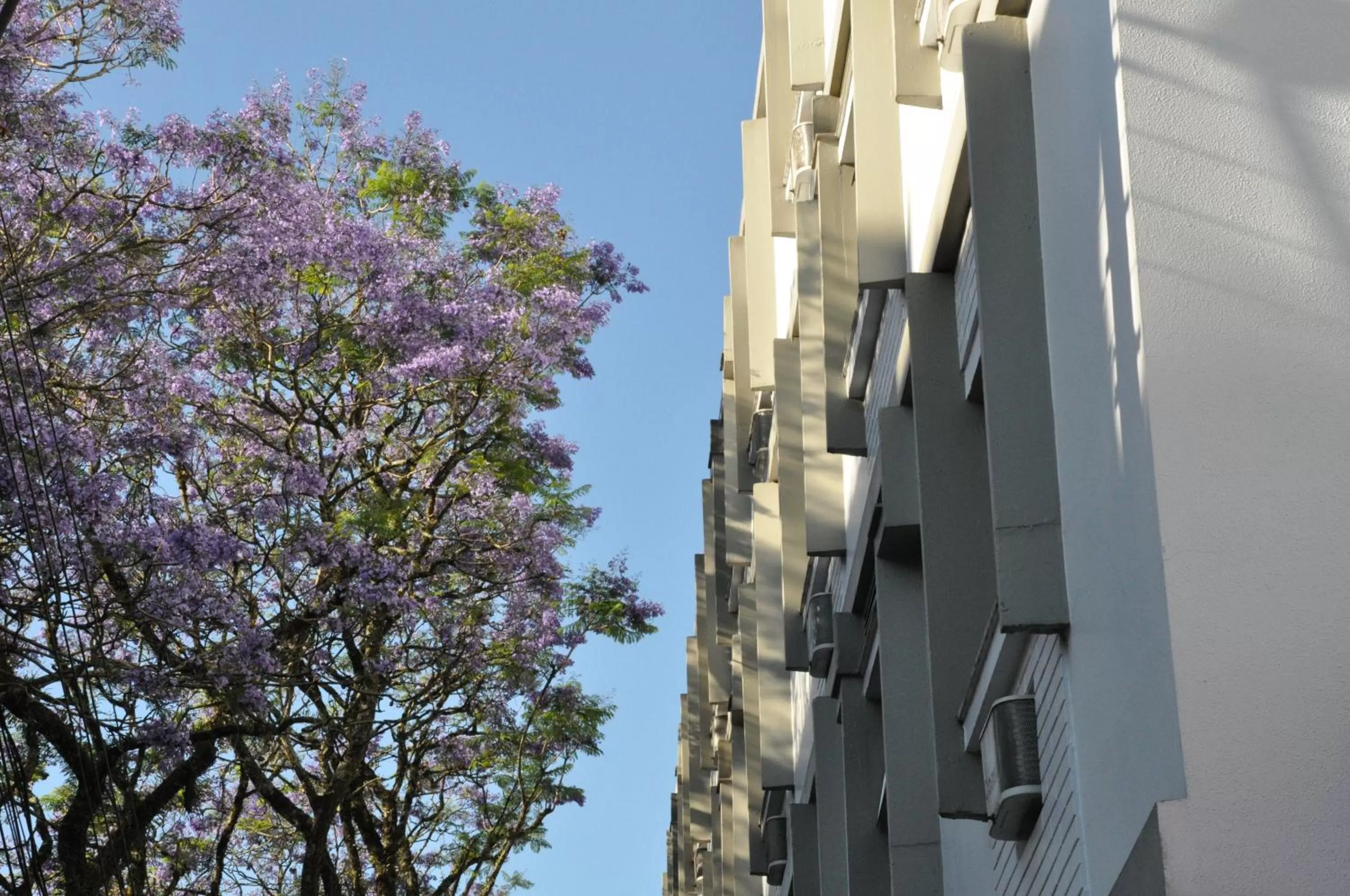 Facade/entrance, Property Building in Cosmos Hotel