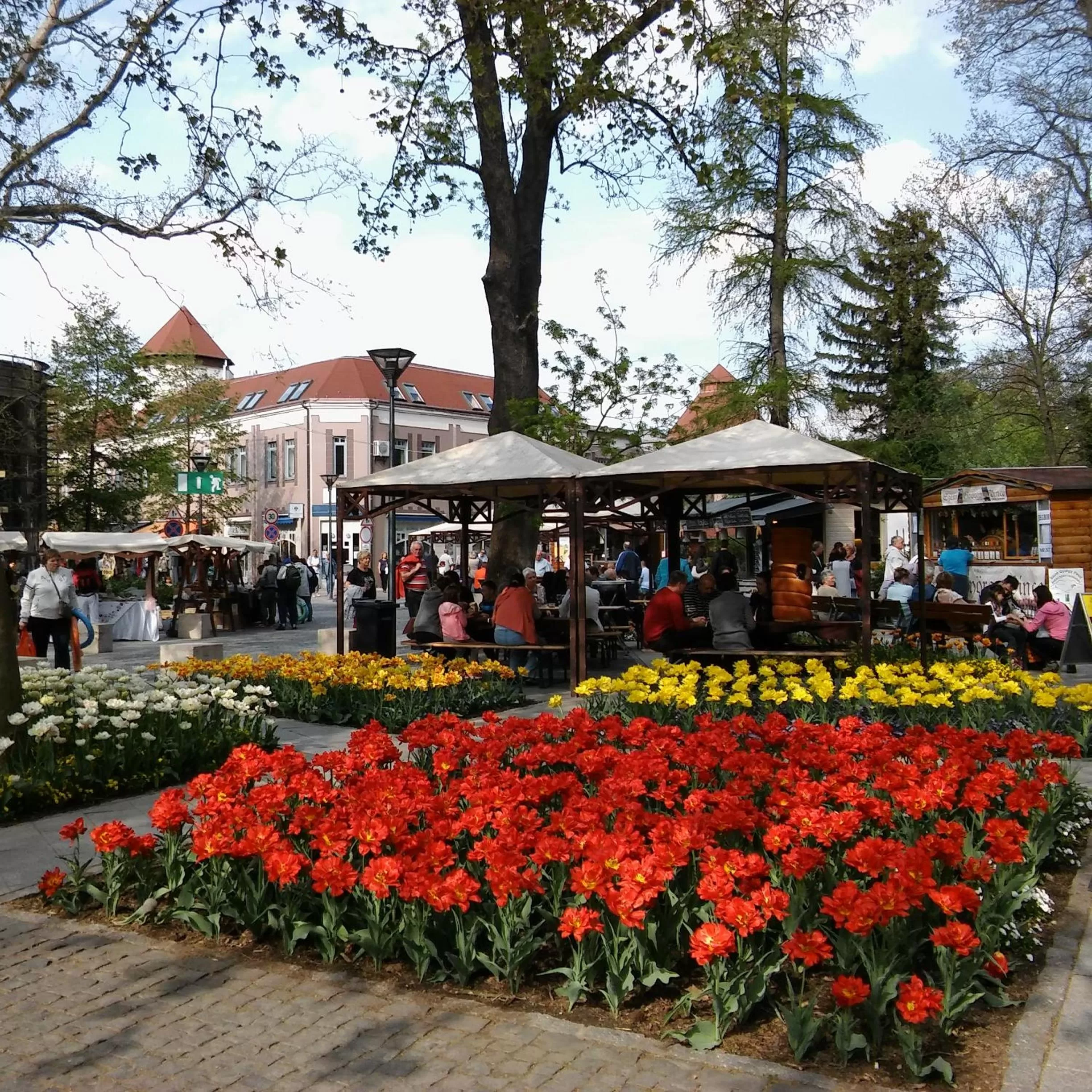 Entertainment in SANTE Hévíz