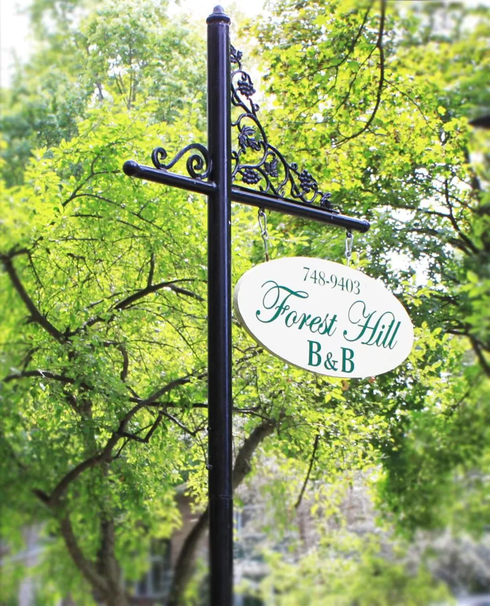 Forest Hill Bed and Breakfast