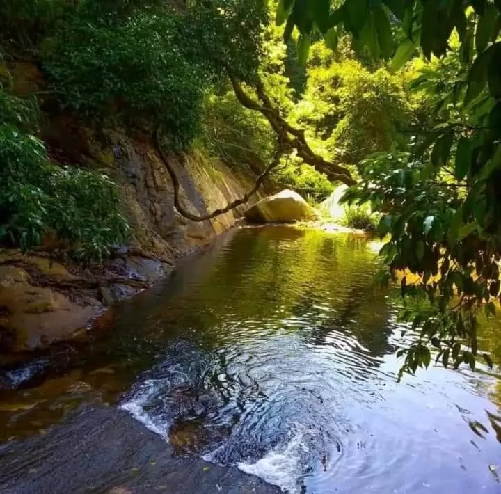 Natural Landscape in Ella Lucky Panoramic
