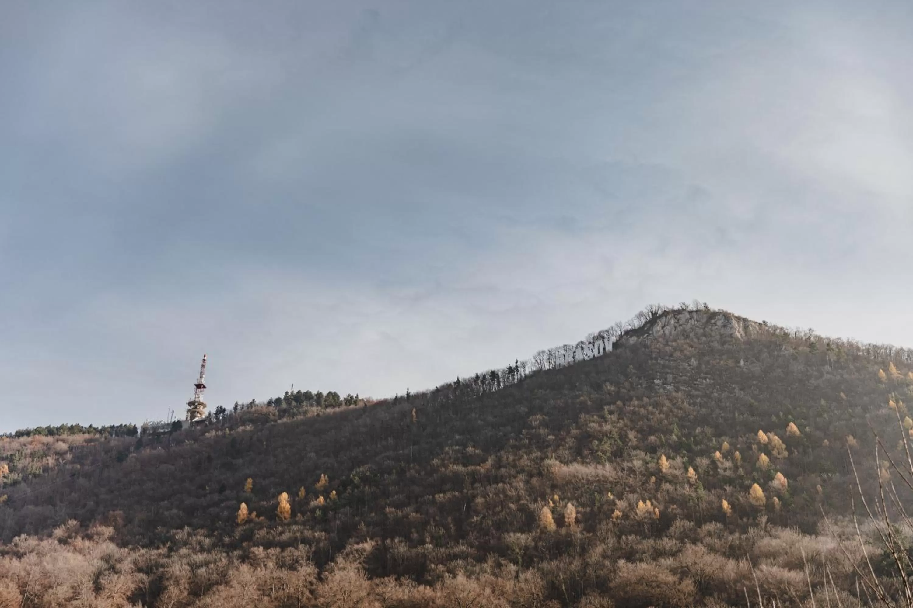 View (from property/room) in ALBERT RESIDENCE with PARKING