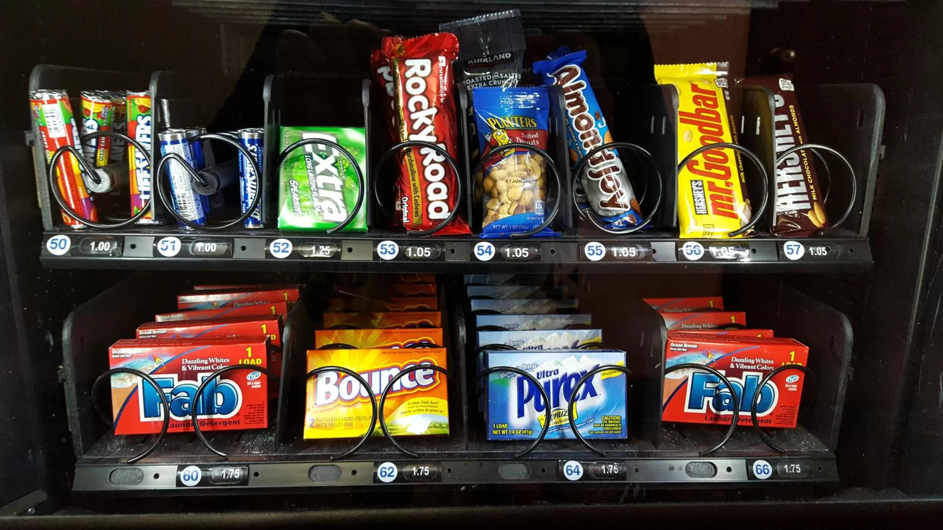 Other in Super 8 by Wyndham Santa Rosa