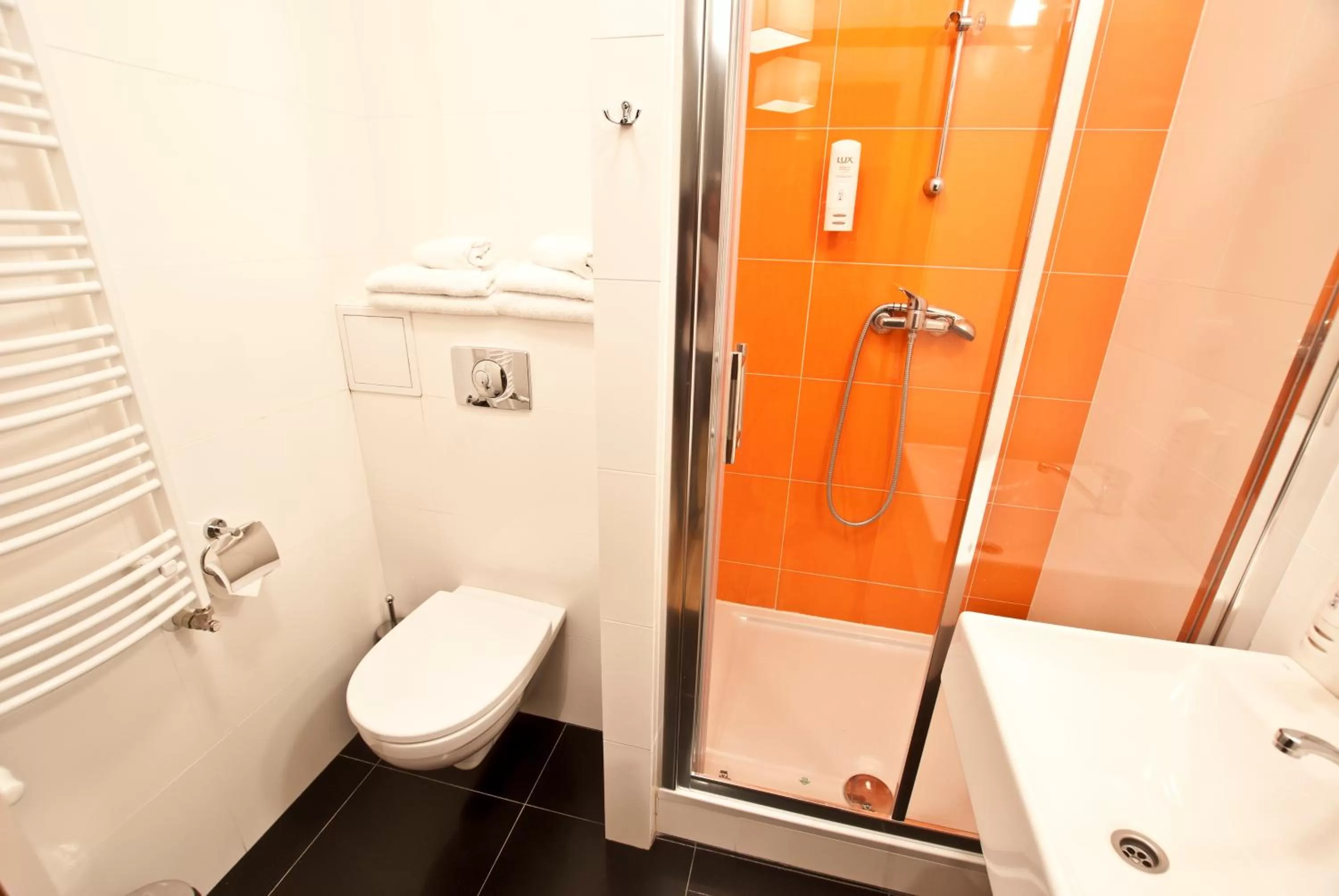 Shower, Bathroom in Dom Pracy Twórczej