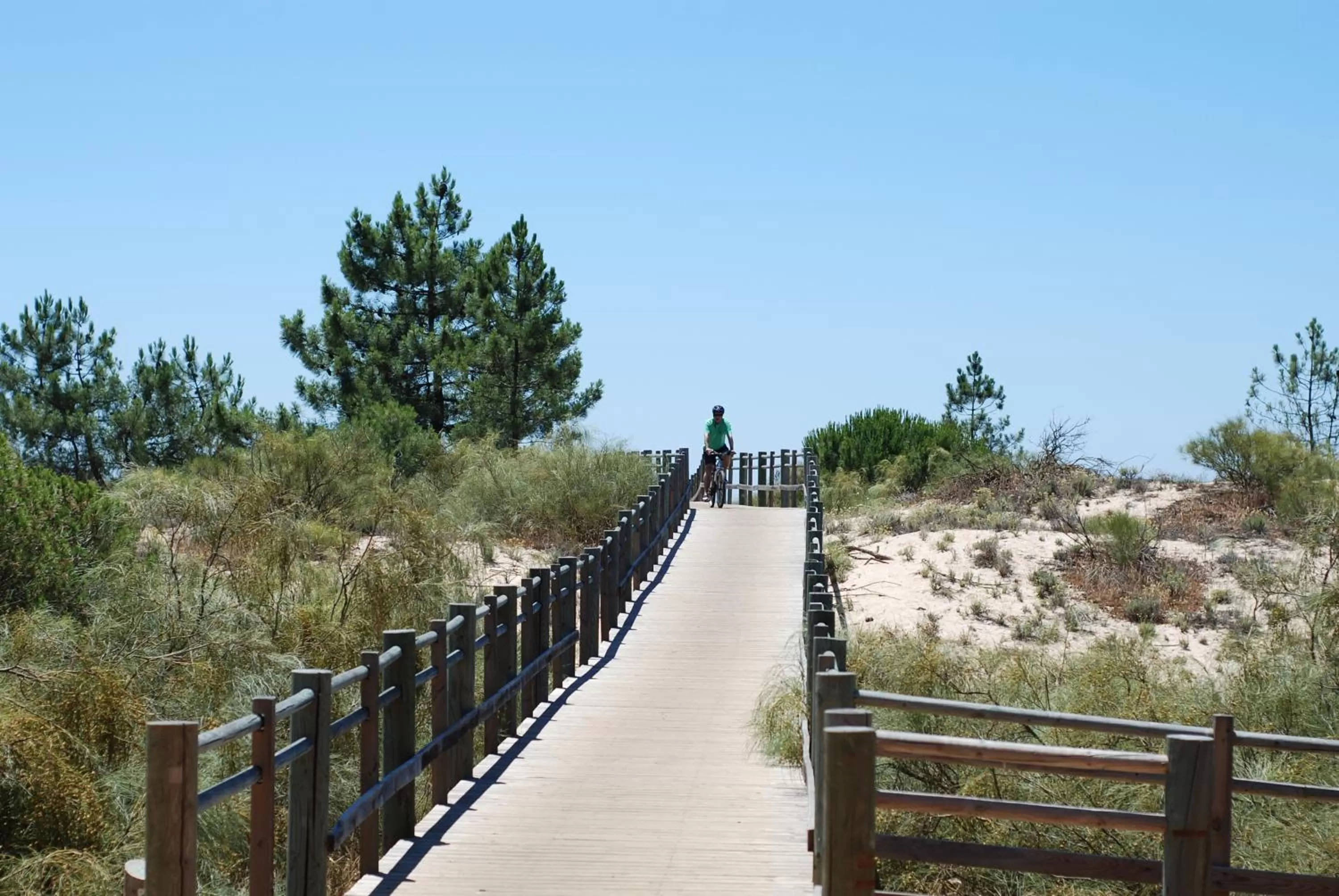 Cycling in Hotel Alba