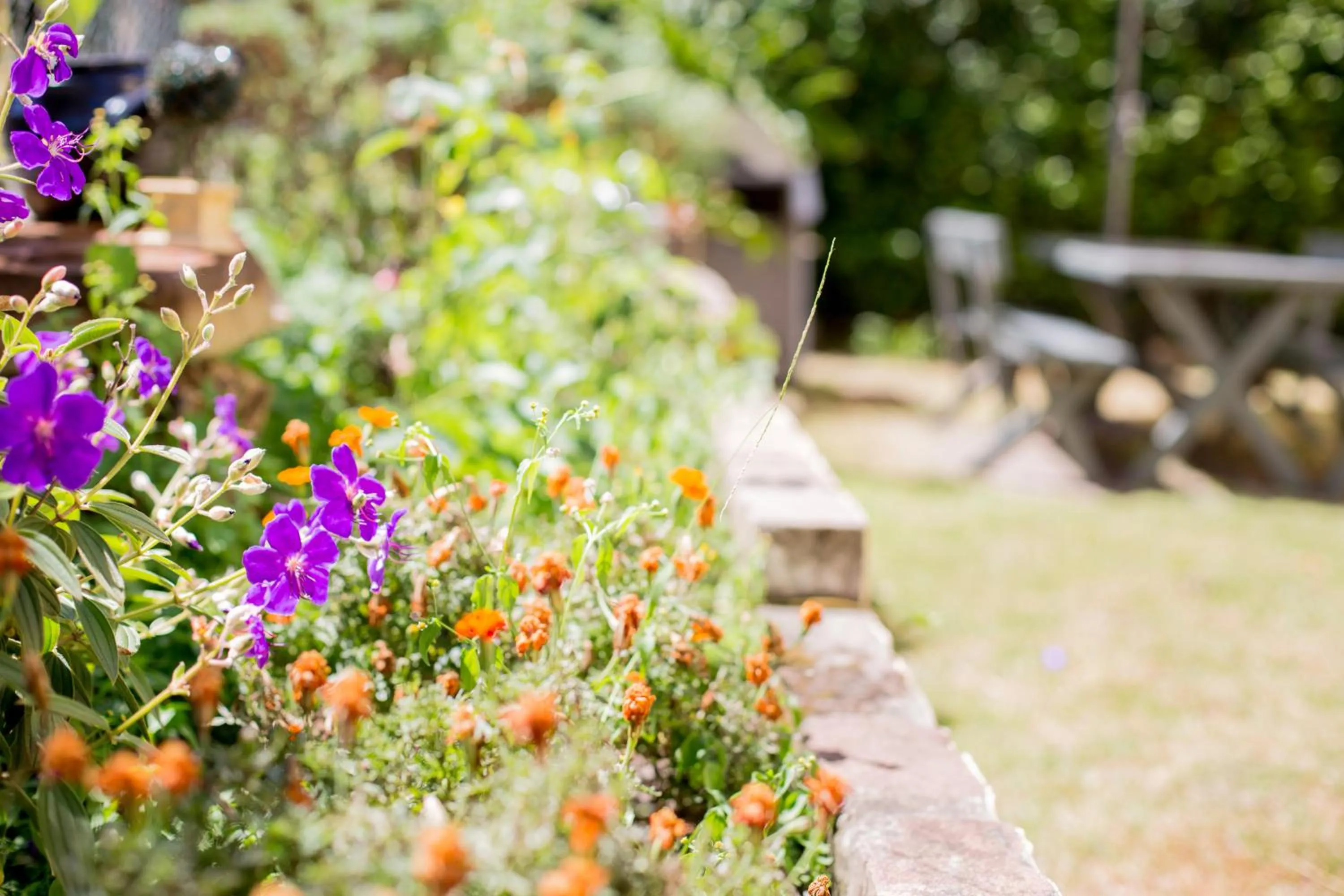 Garden in Neutral Bay Lodge