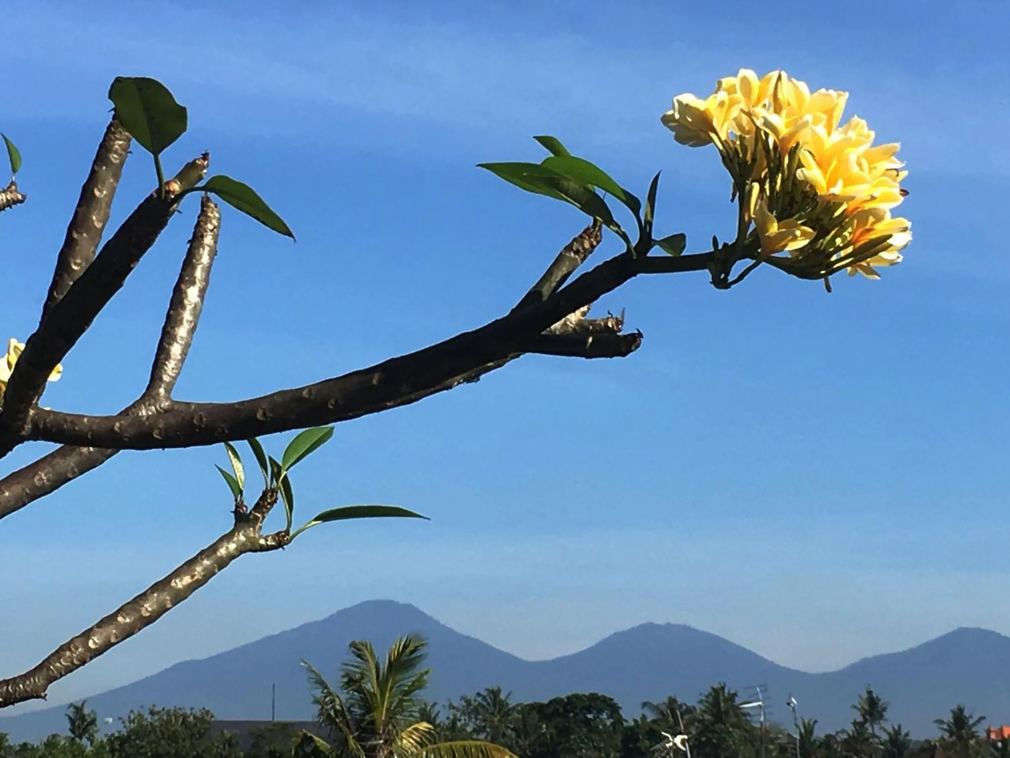 Mountain view in Bulan Bali Homestay
