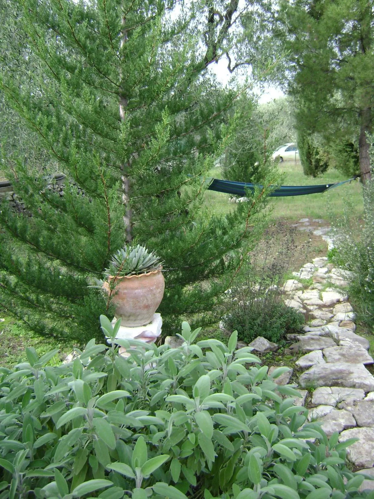Garden in B&B Villa Mediterranea with parking space