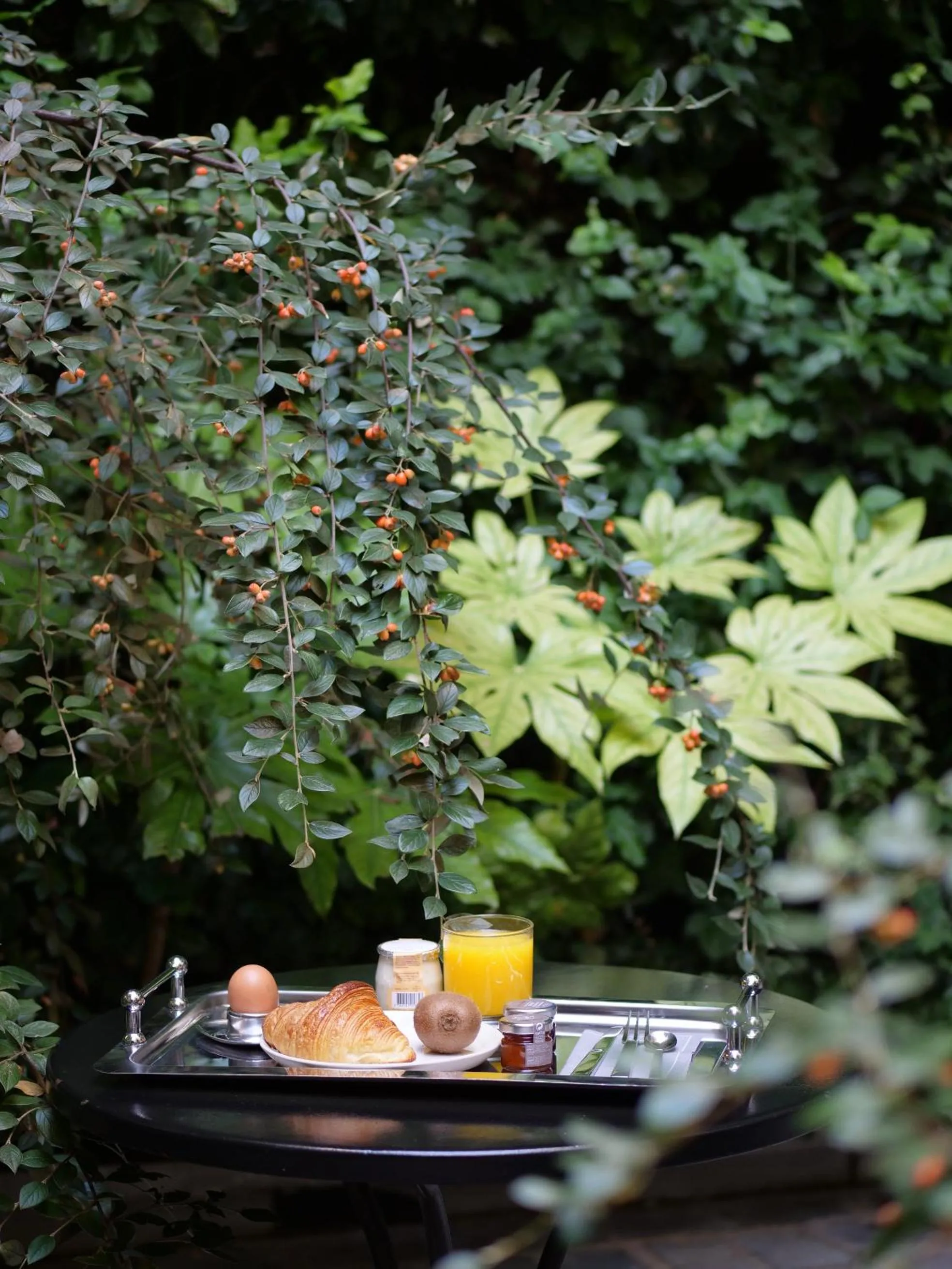 Patio in Hôtel Jules & Jim
