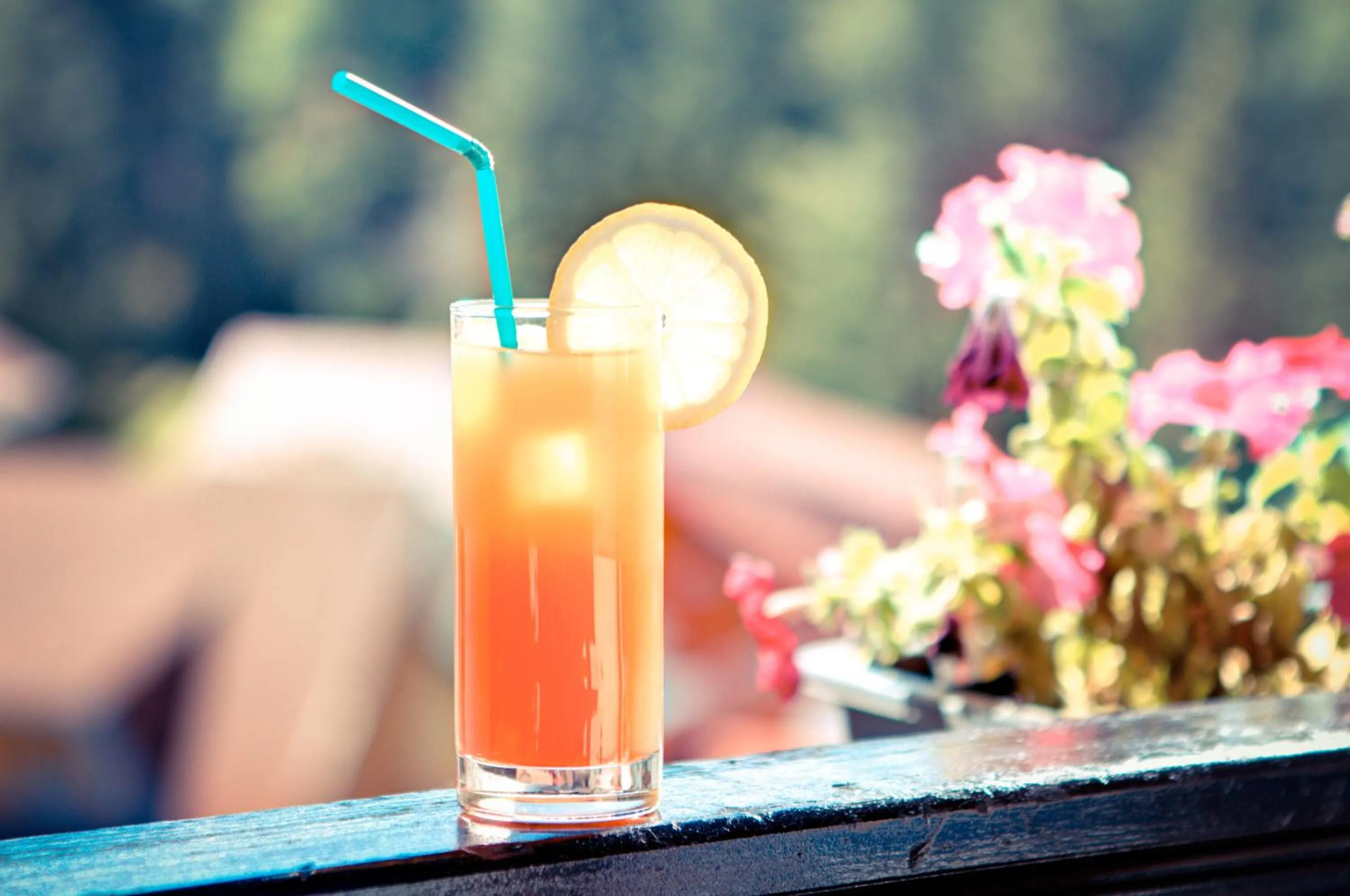 Food and drinks in House of Dracula Hotel