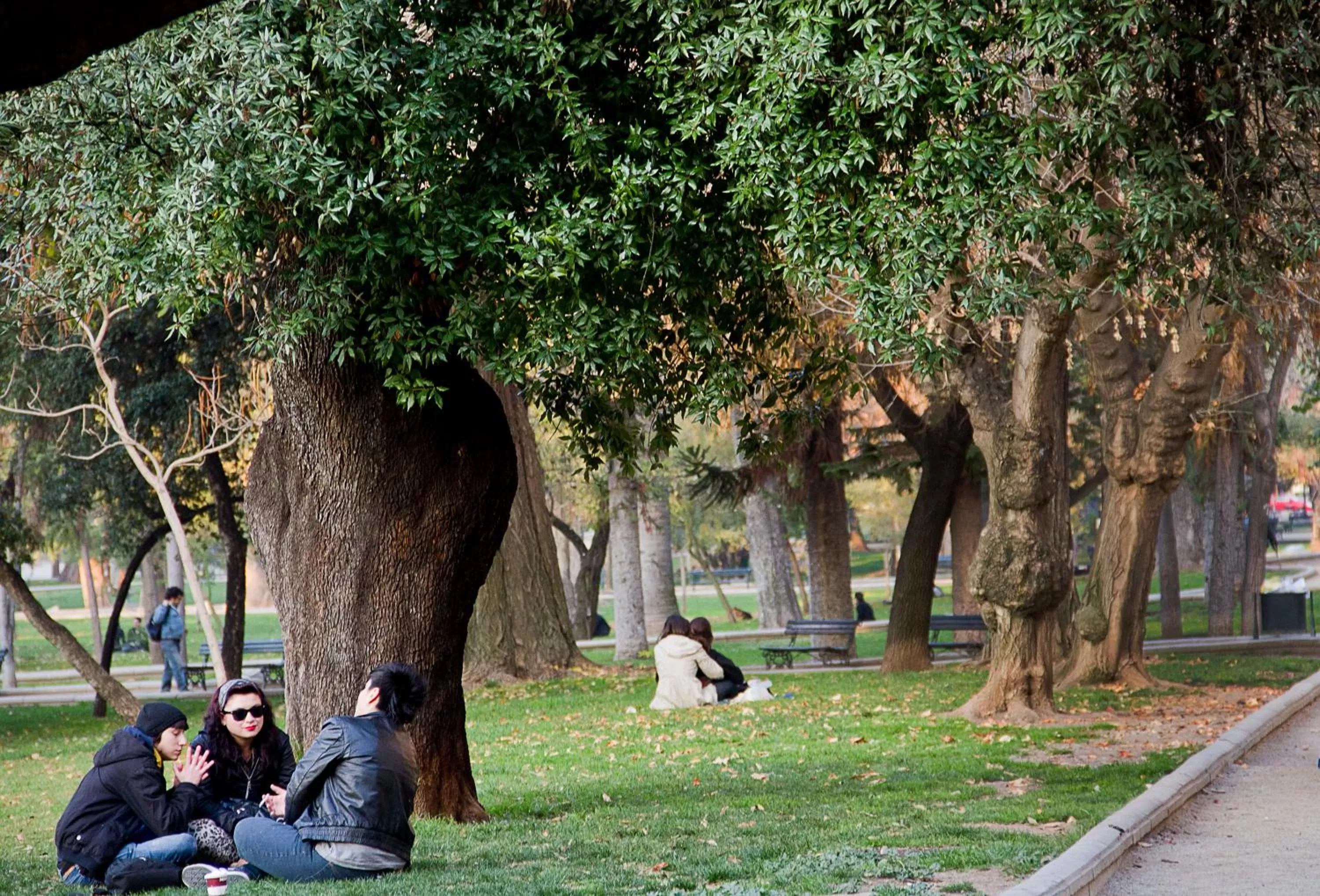 Neighbourhood in Hotel Luciano K