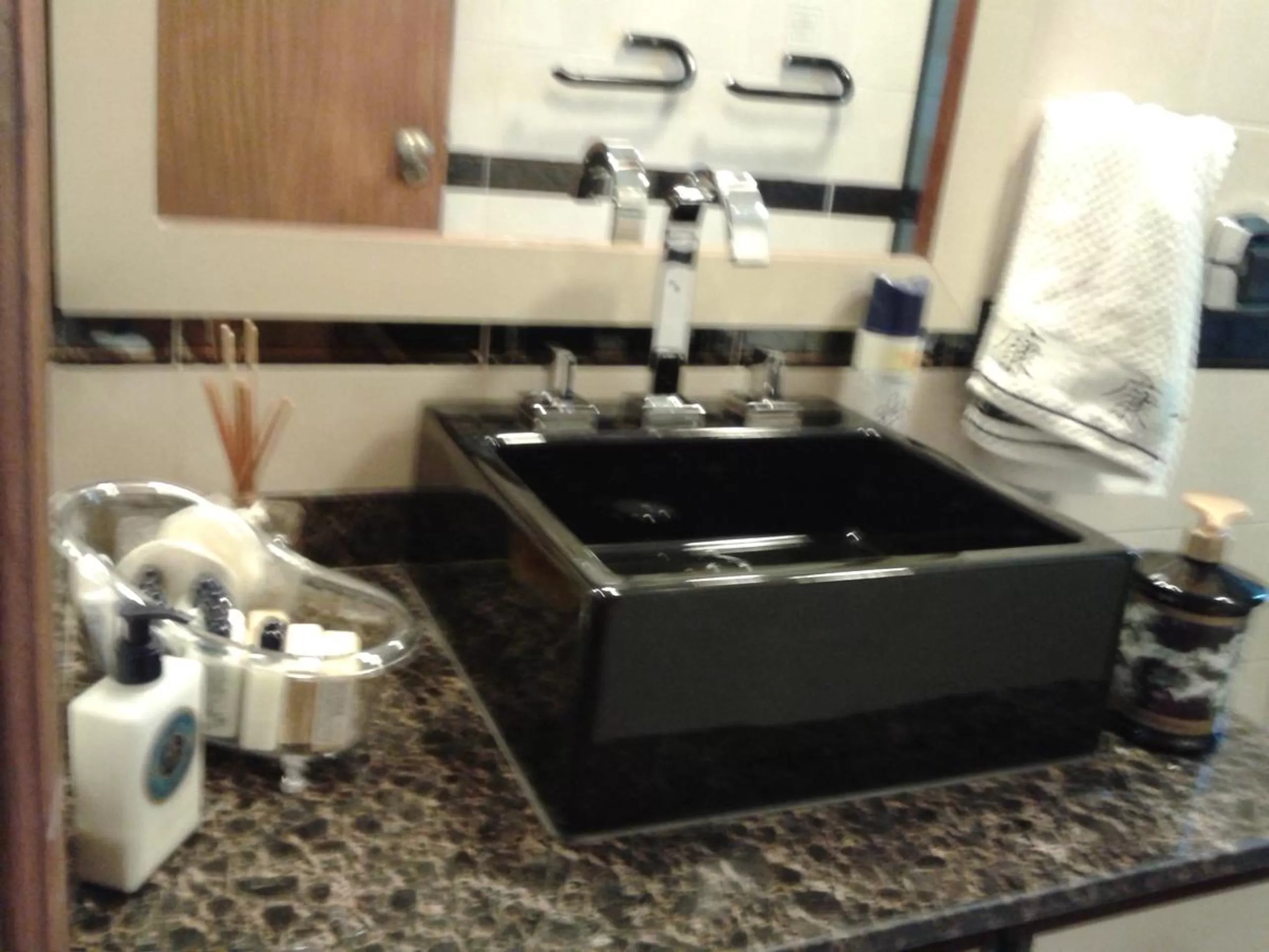 Area and facilities in Hosts in Rio Homestay