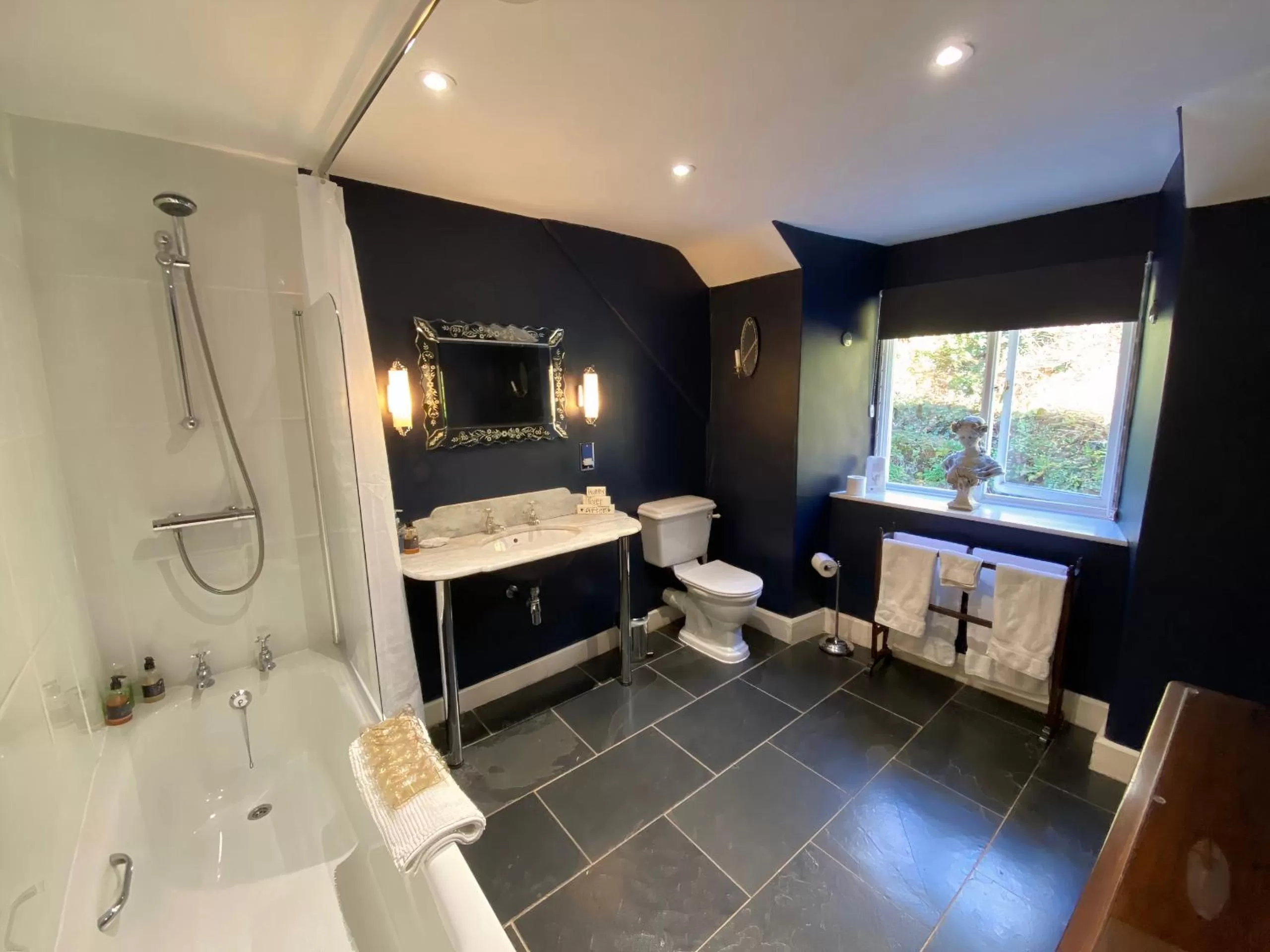 Bathroom in Plas Tan-Yr-Allt Historic Country House B&B