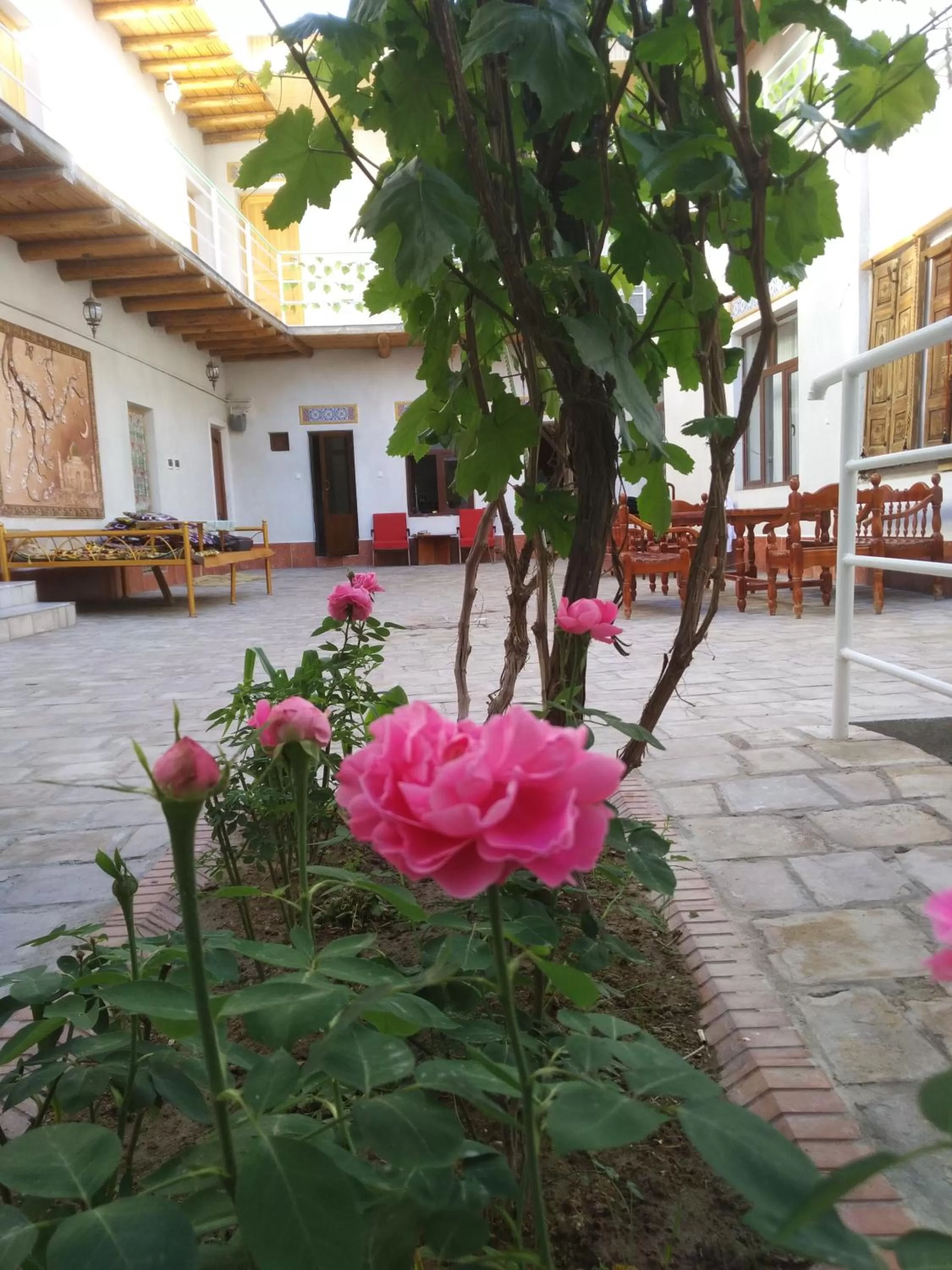 Garden, Property Building in Samani Bukhara