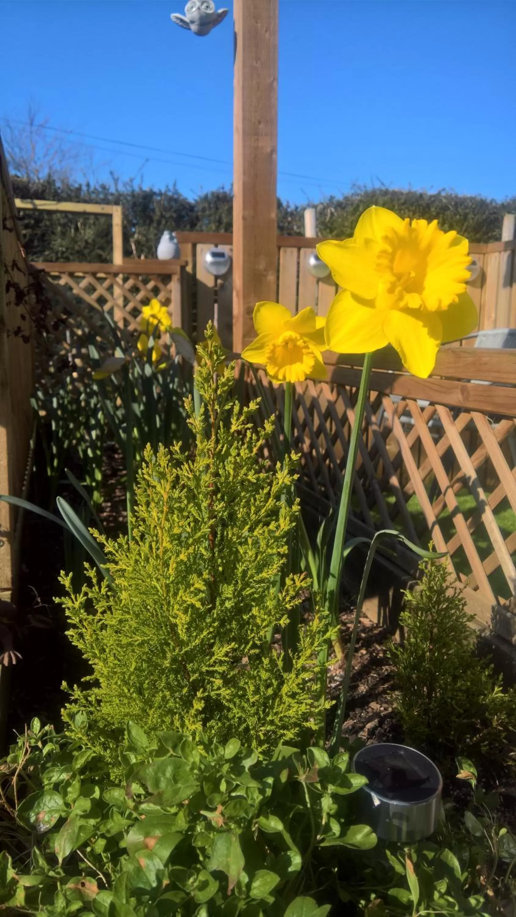 Garden view in Owly 'Ouse