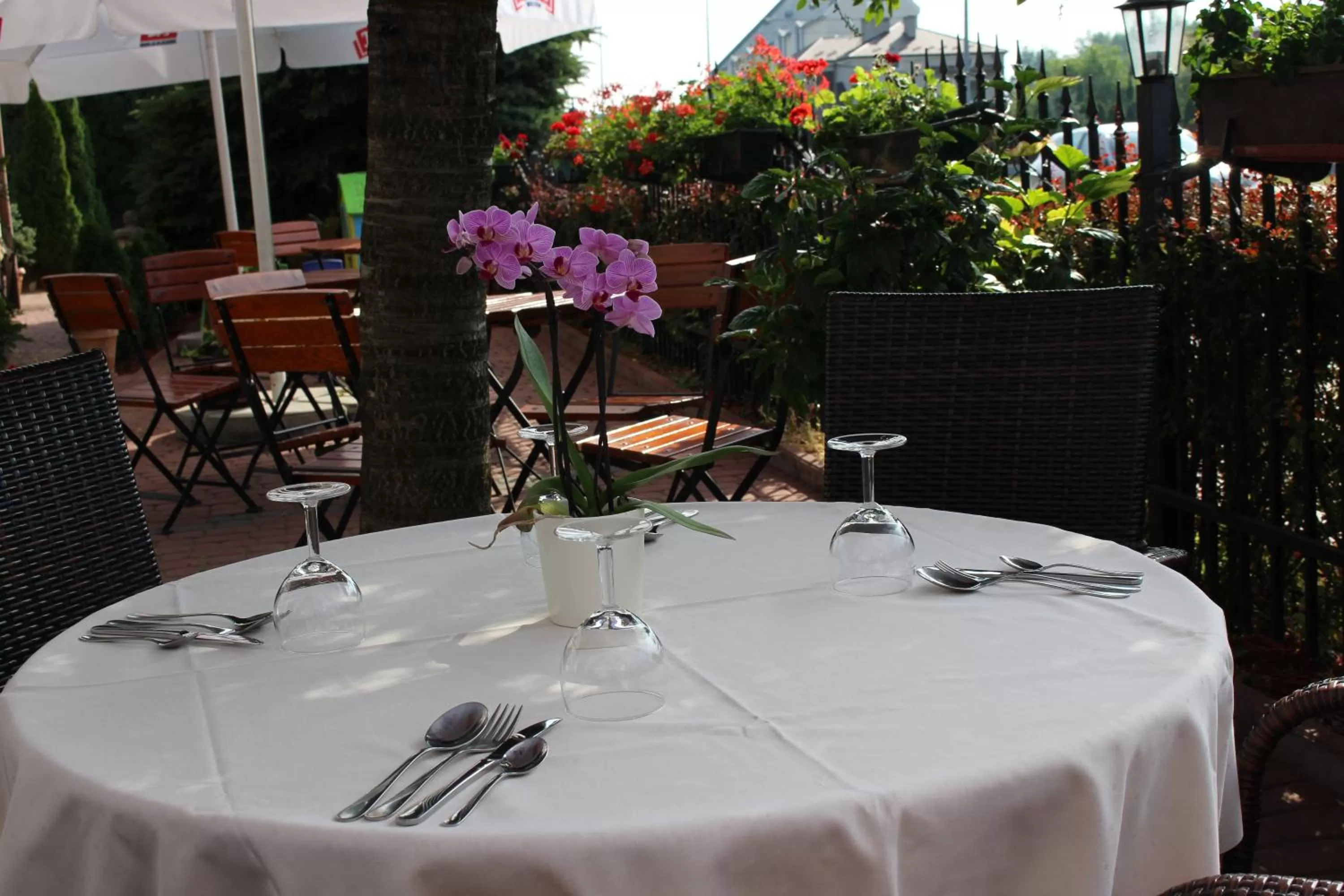 Patio in PIANO CAFE b&b