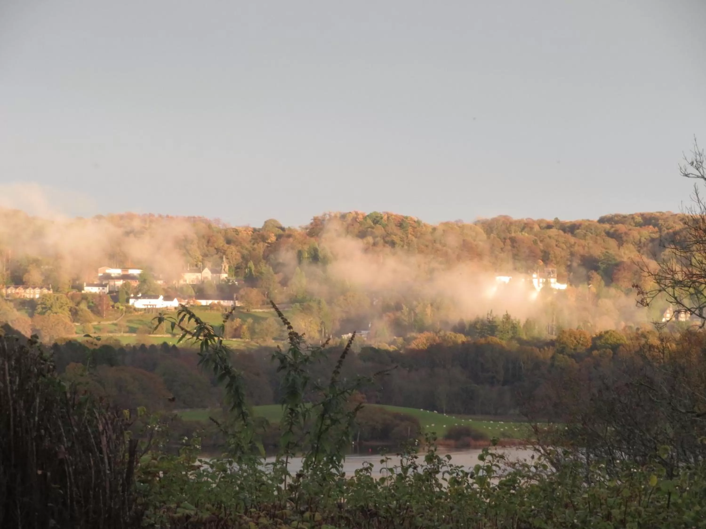 Natural Landscape in Slack Cottage