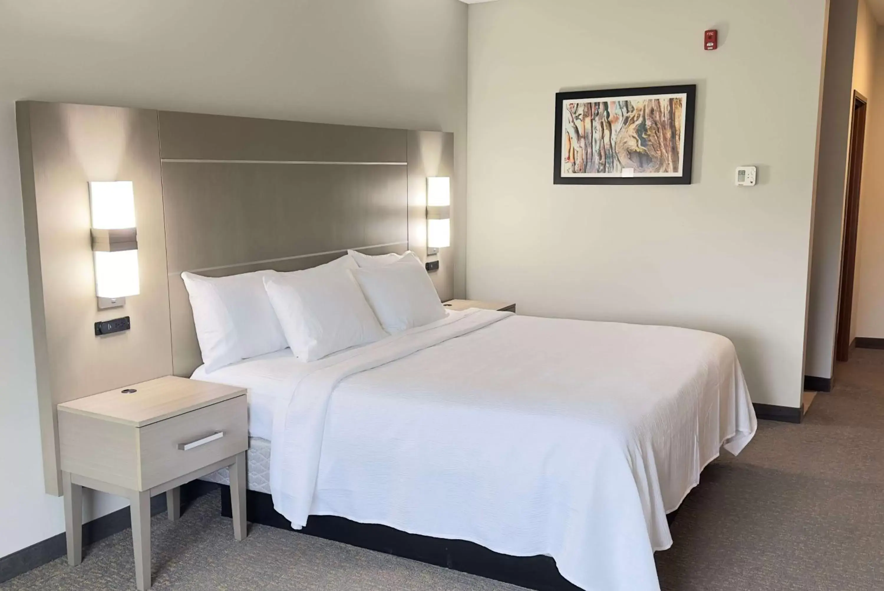 King Room with Mobility Access and Bathtub with Grab Bars, Non-Smoking in La Quinta Inn & Suites by Wyndham Jackson-Cape Girardeau King Room with Mobility Access and Bathtub with Grab Bars, Non-Smoking in La Quinta Inn & Suites by Wyndham Jackson-Cape Girardeau