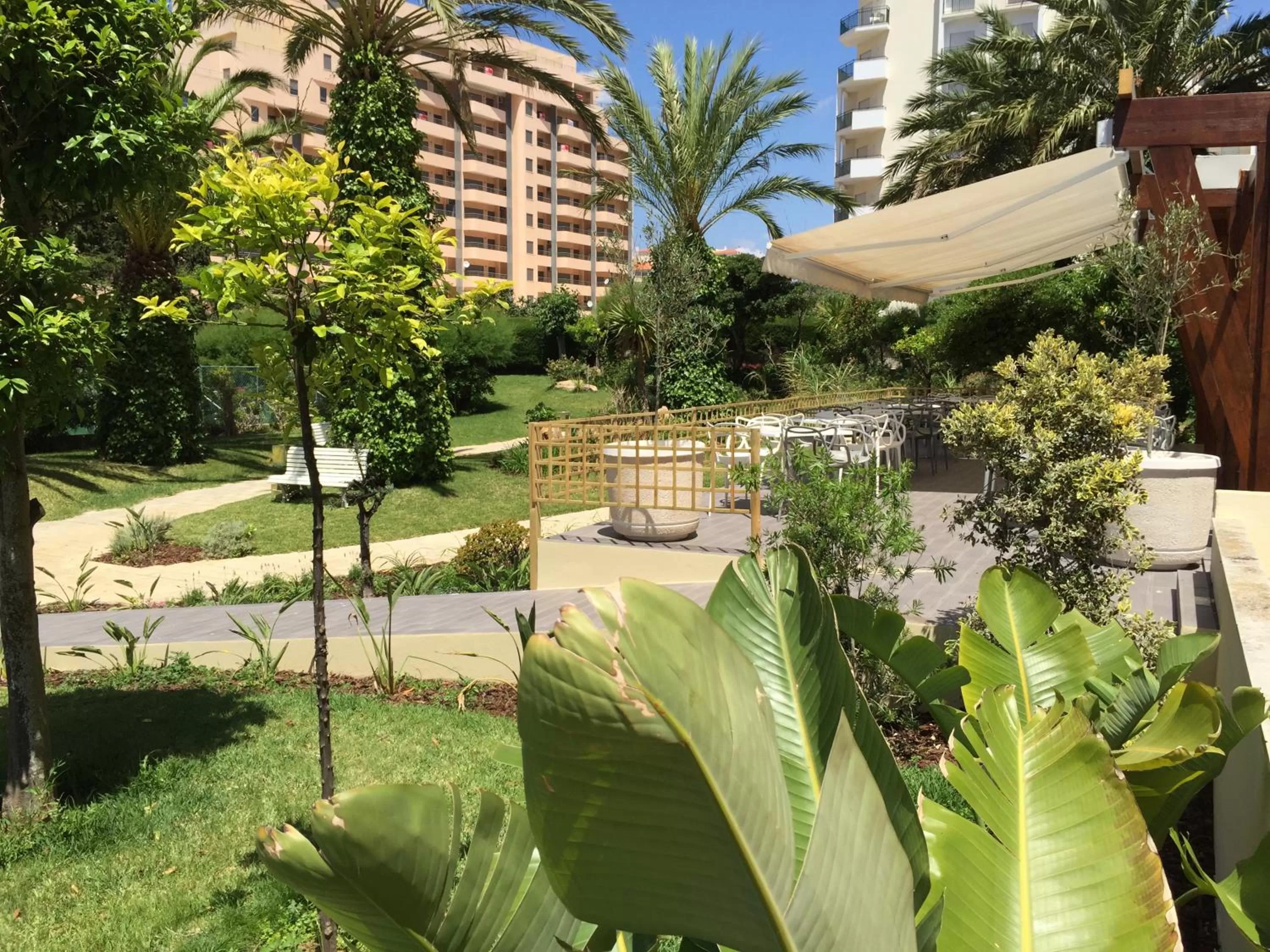 Garden in RR Club Amarilis