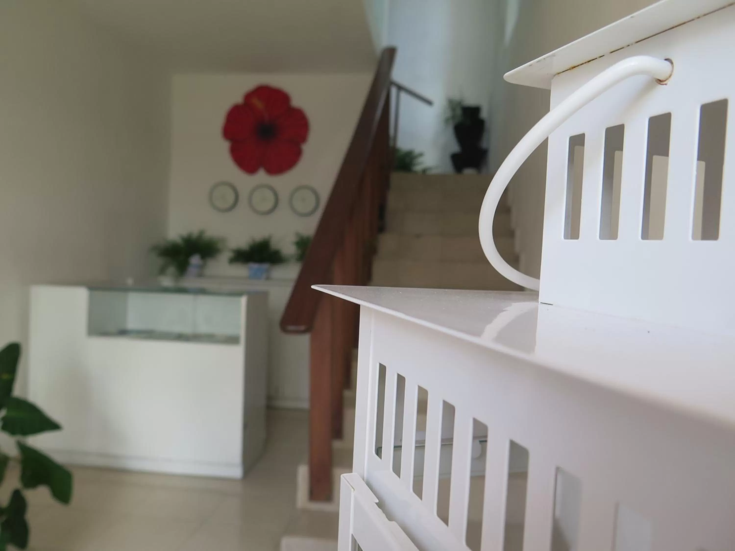 Lobby or reception, Kitchen/Kitchenette in Hotel Boutique Simona